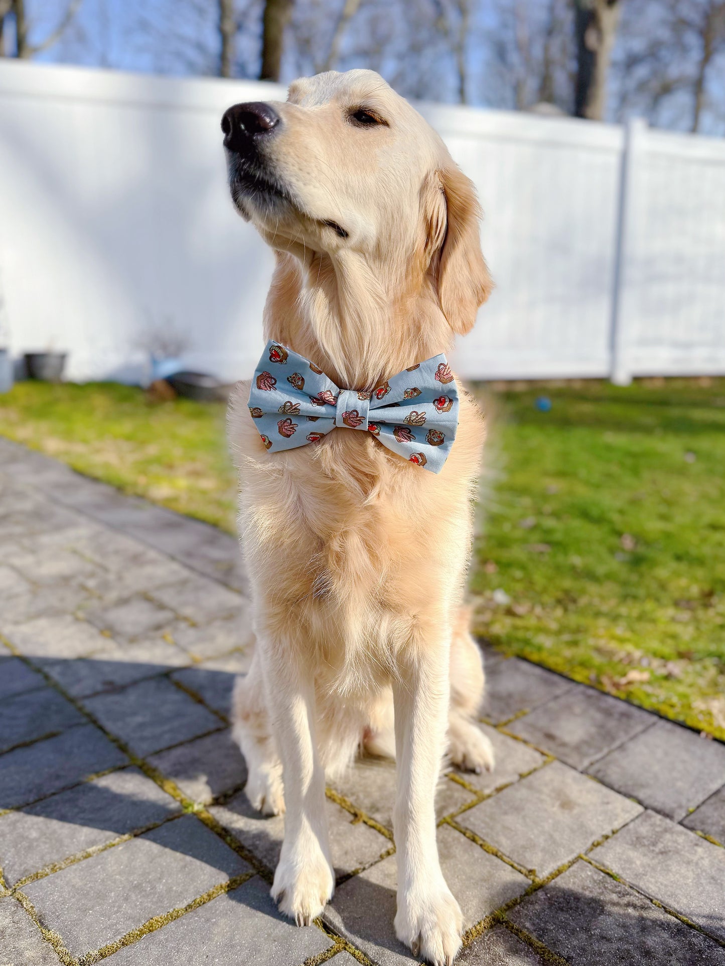 Picnic Time Bow