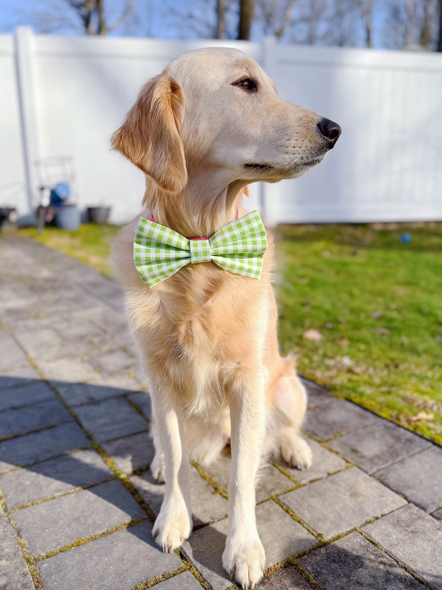 Light Green Gingham Bow