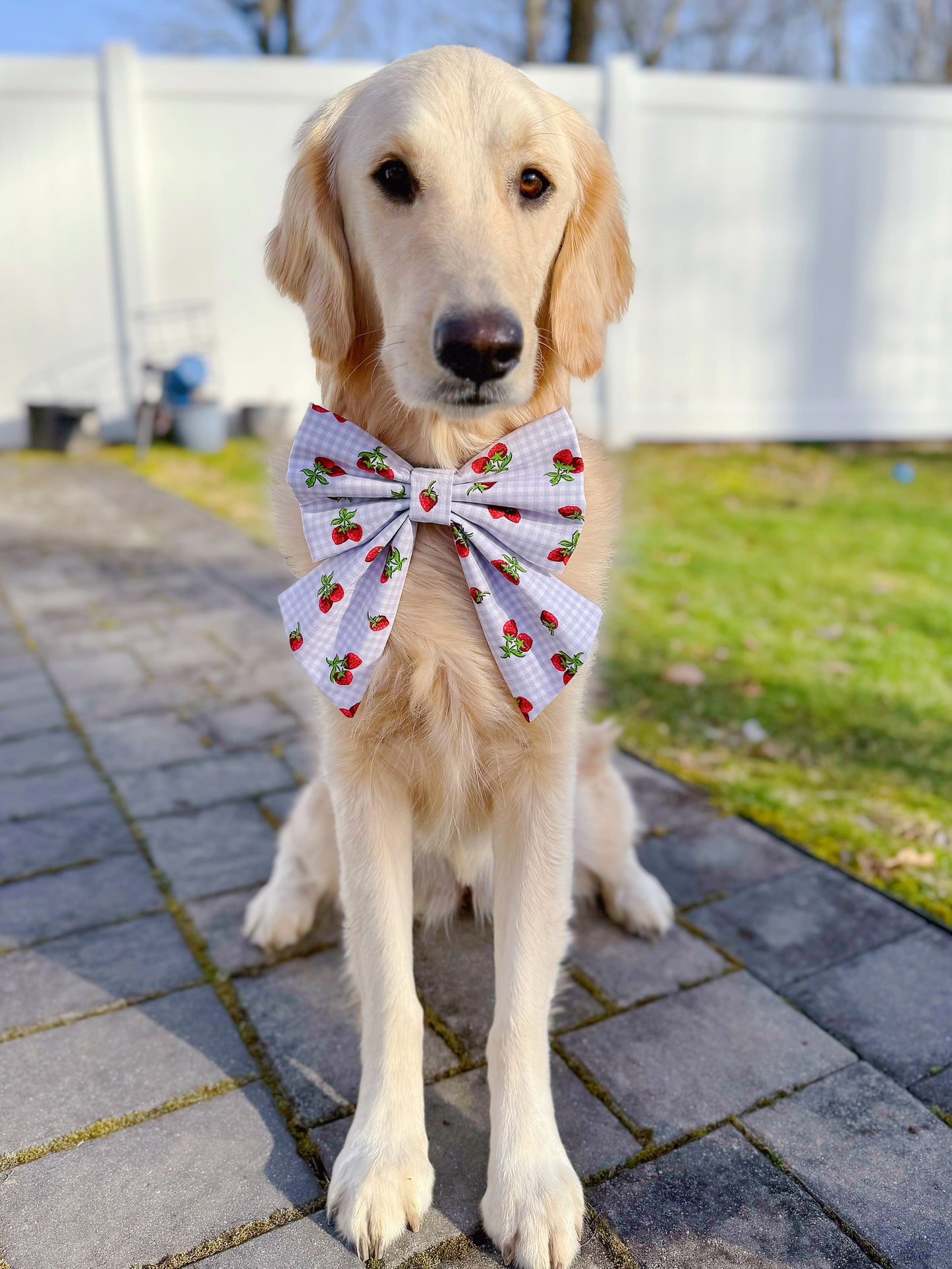 Strawberries On Gingham Bow