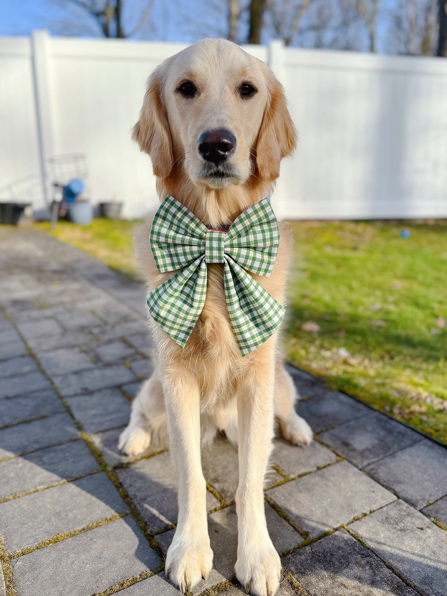 Green Plaid Bow