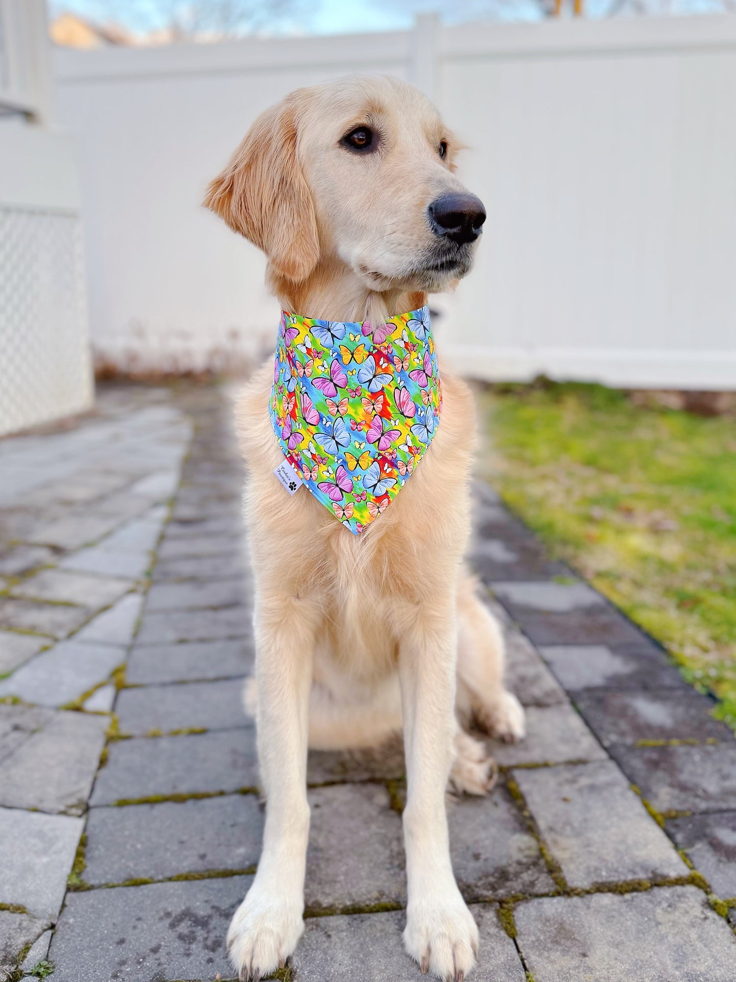 Rainbow Floral And Butterflies Bandana