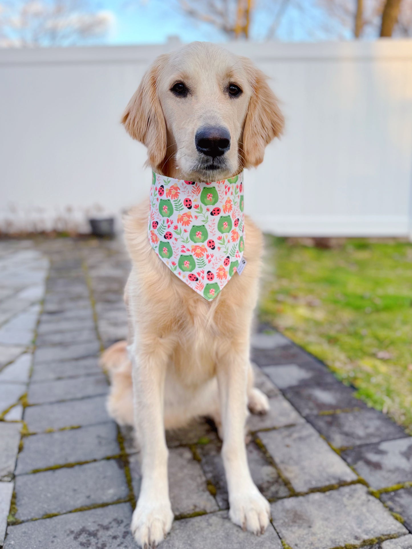 Froggy Forest Bandana