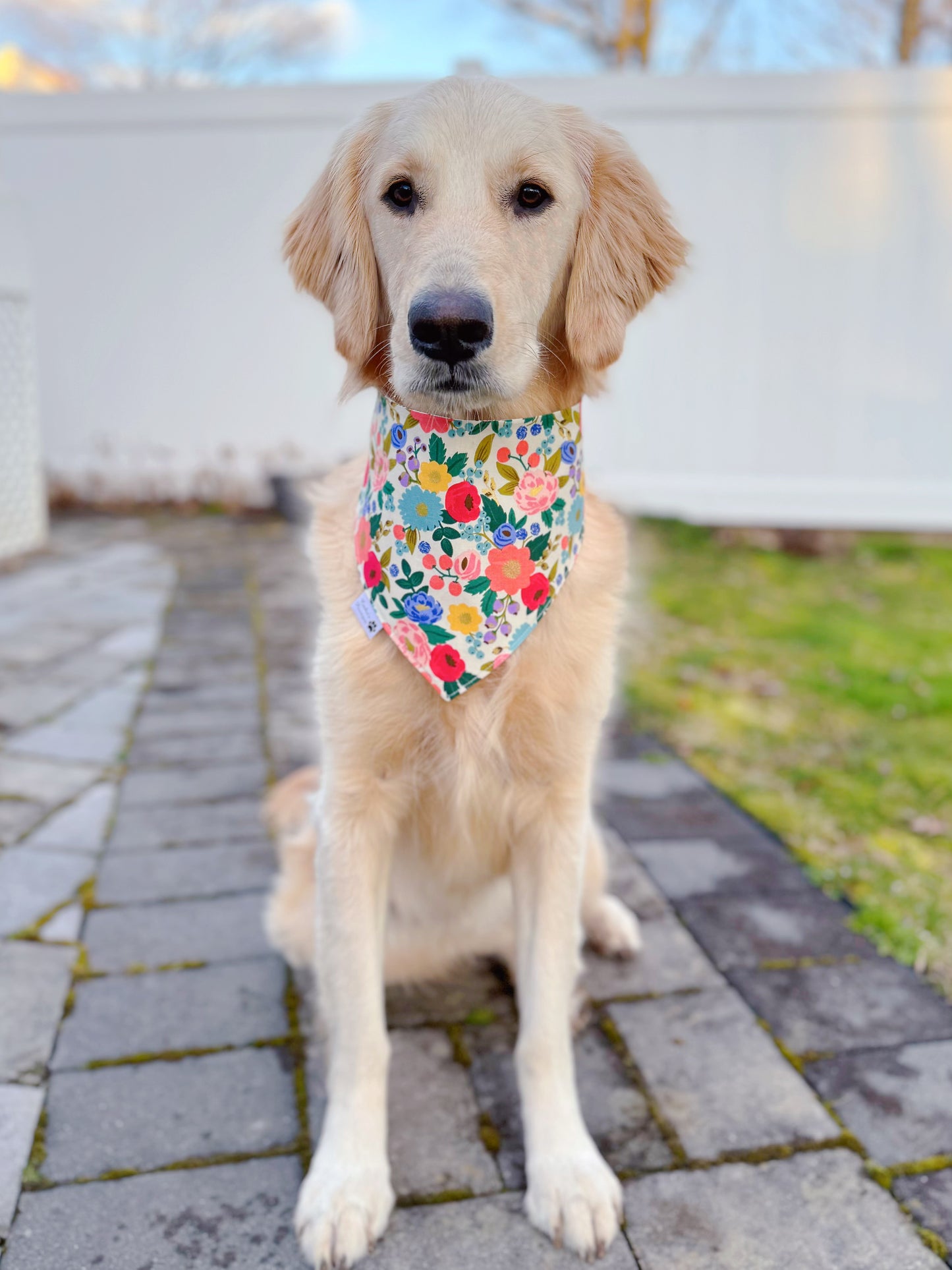 Spring Flowers And Vases Bandana
