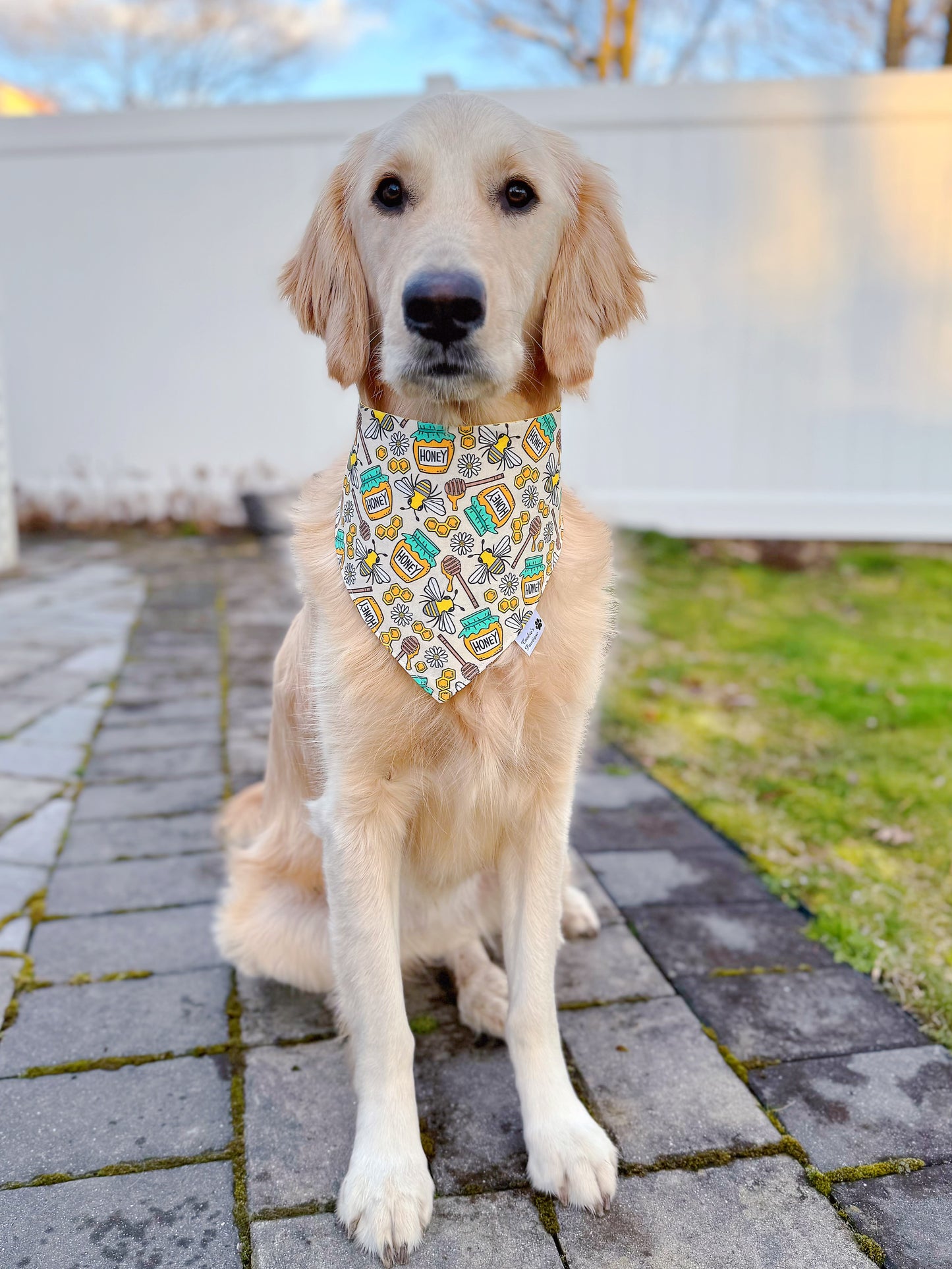 Honey And Bees Bandana