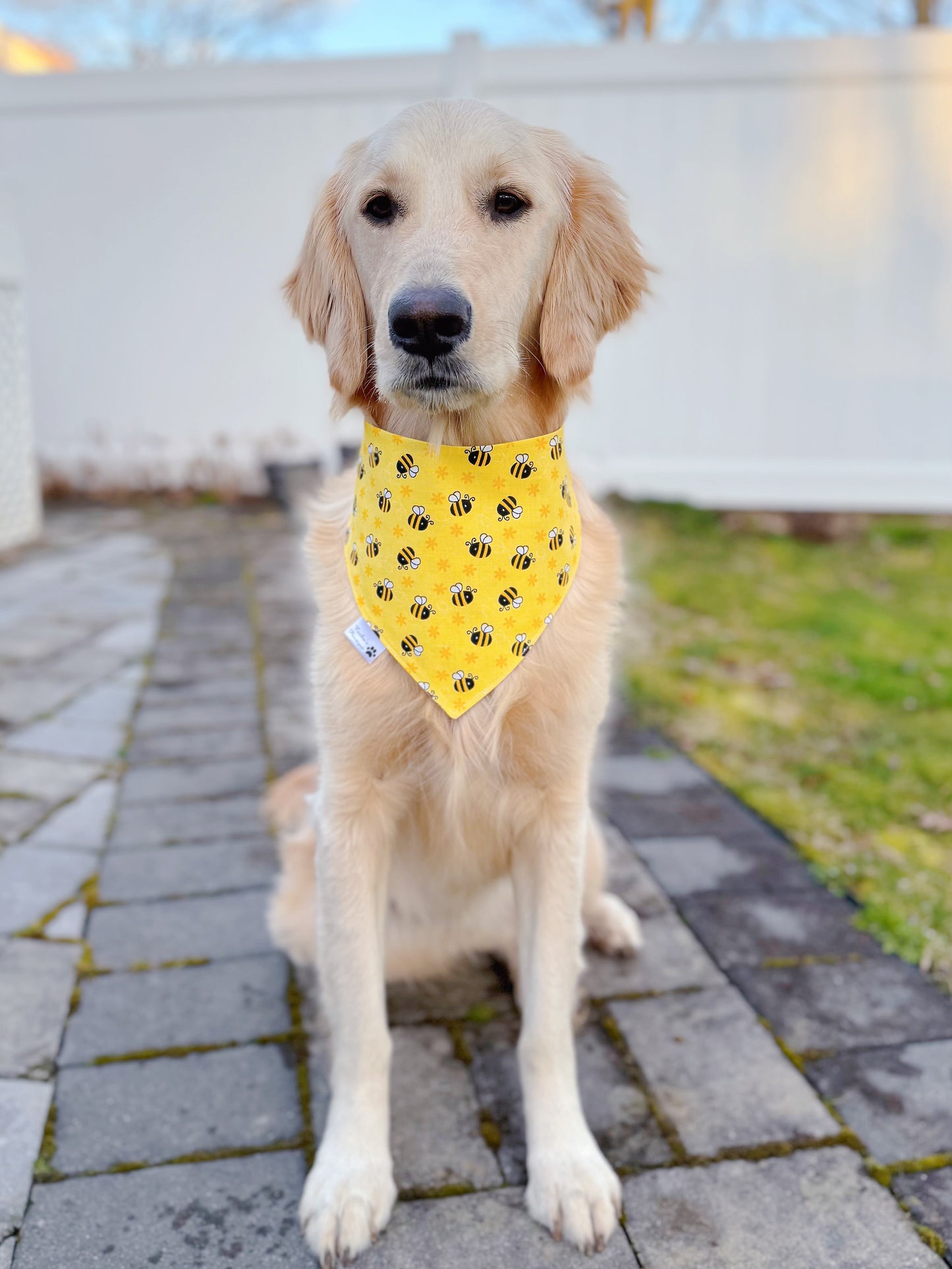 Honey And Bees Bandana