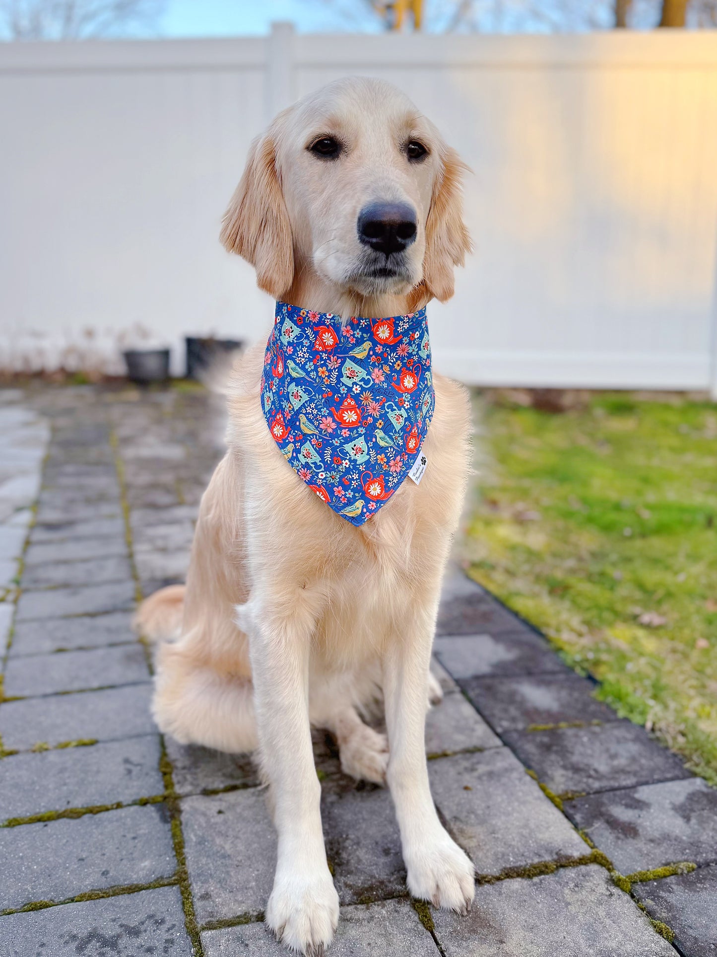 Garden Tea Party Bandana