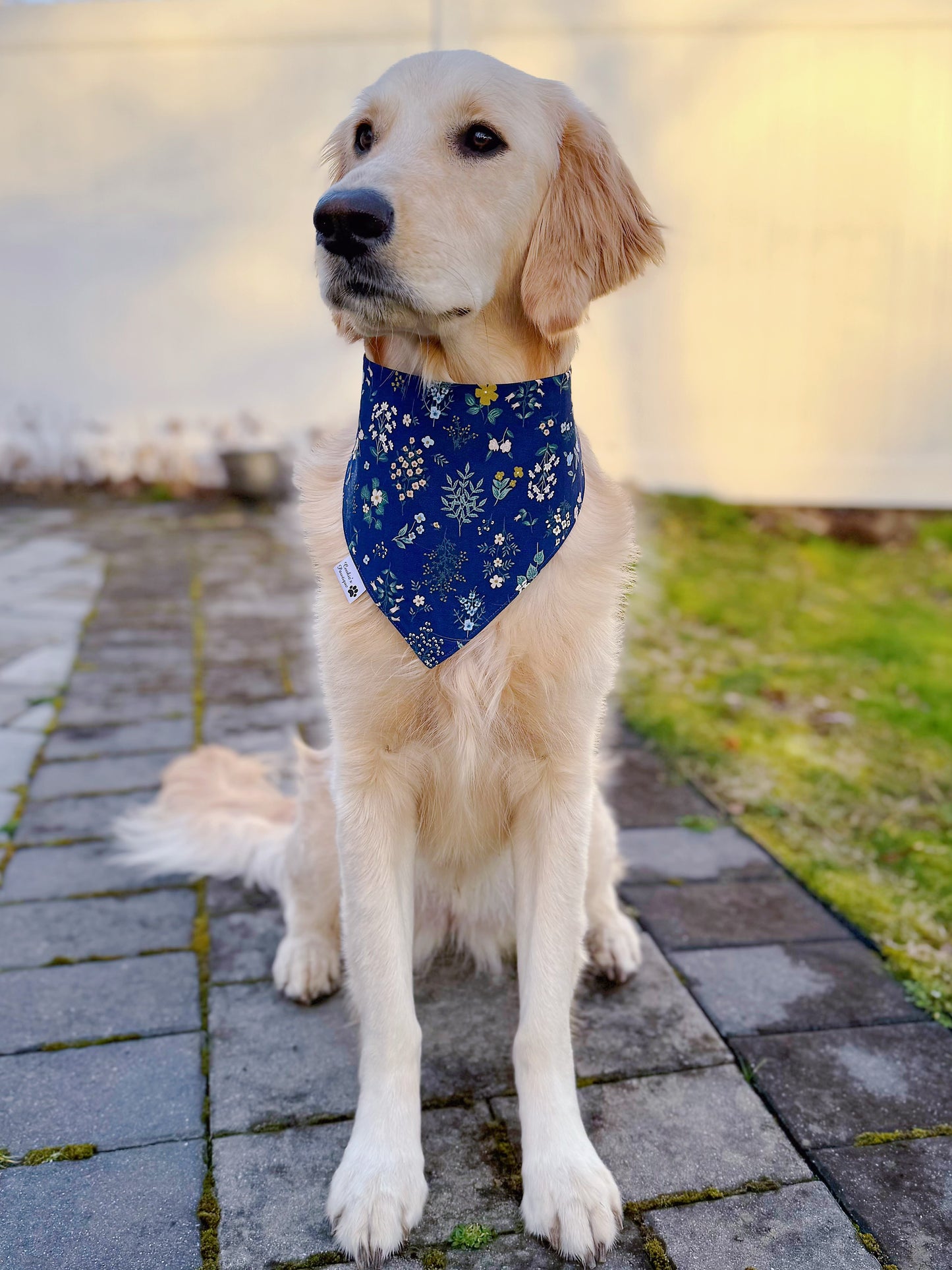 Spring Gardening Bandana