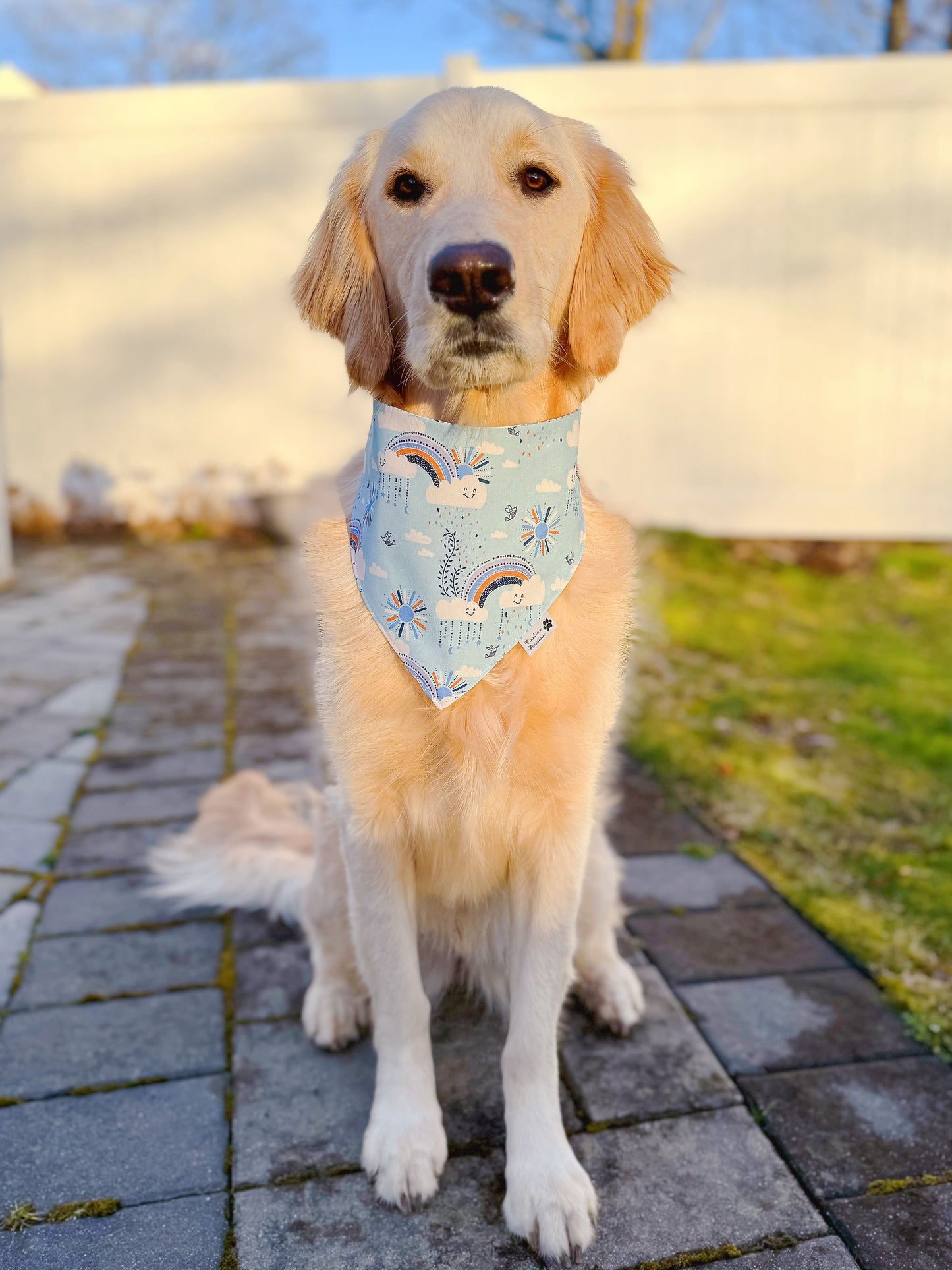 Sunny Days Ahead Bandana