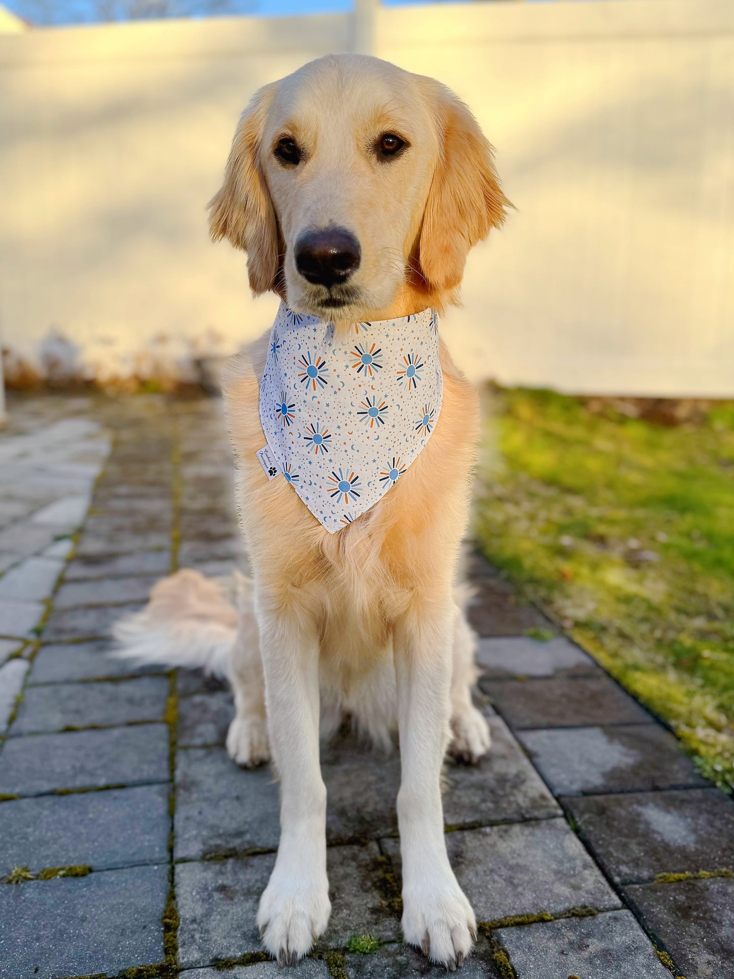 Sunny Days Ahead Bandana