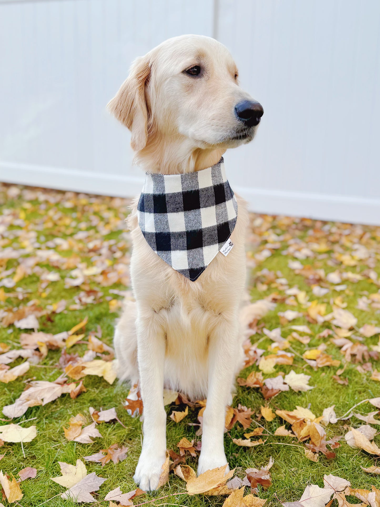 Black and White Buffalo Checks and Plaid Flannel Bandana