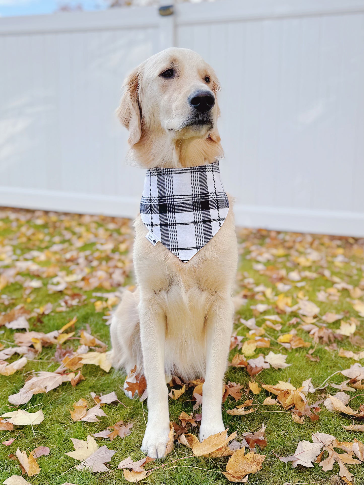Black and White Buffalo Checks and Plaid Flannel Bandana