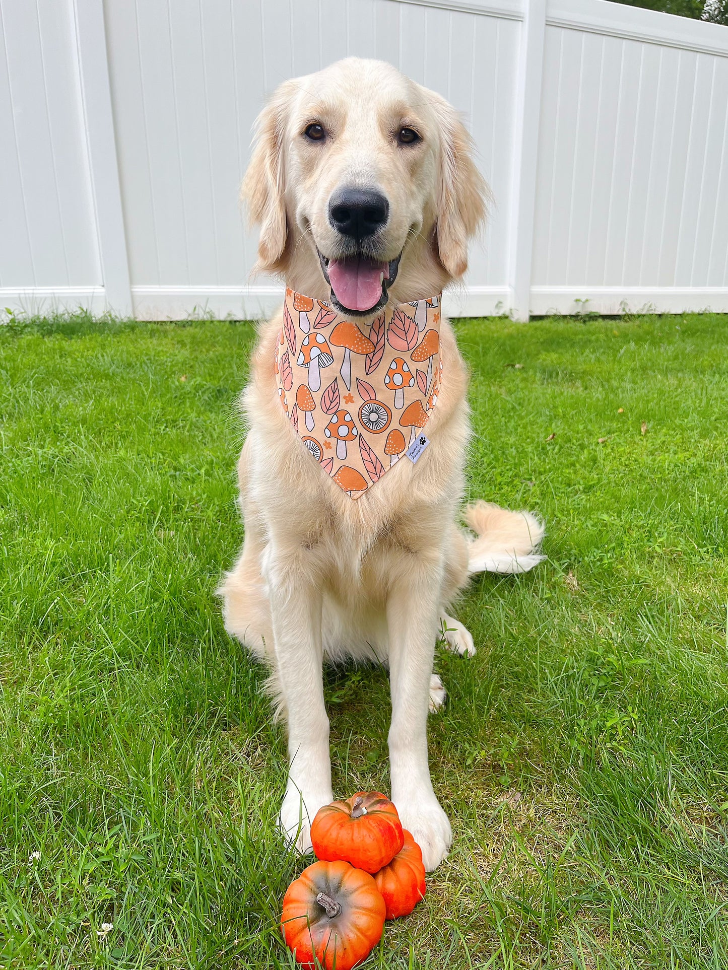 Woodland Mushroom and Flowers Bandana