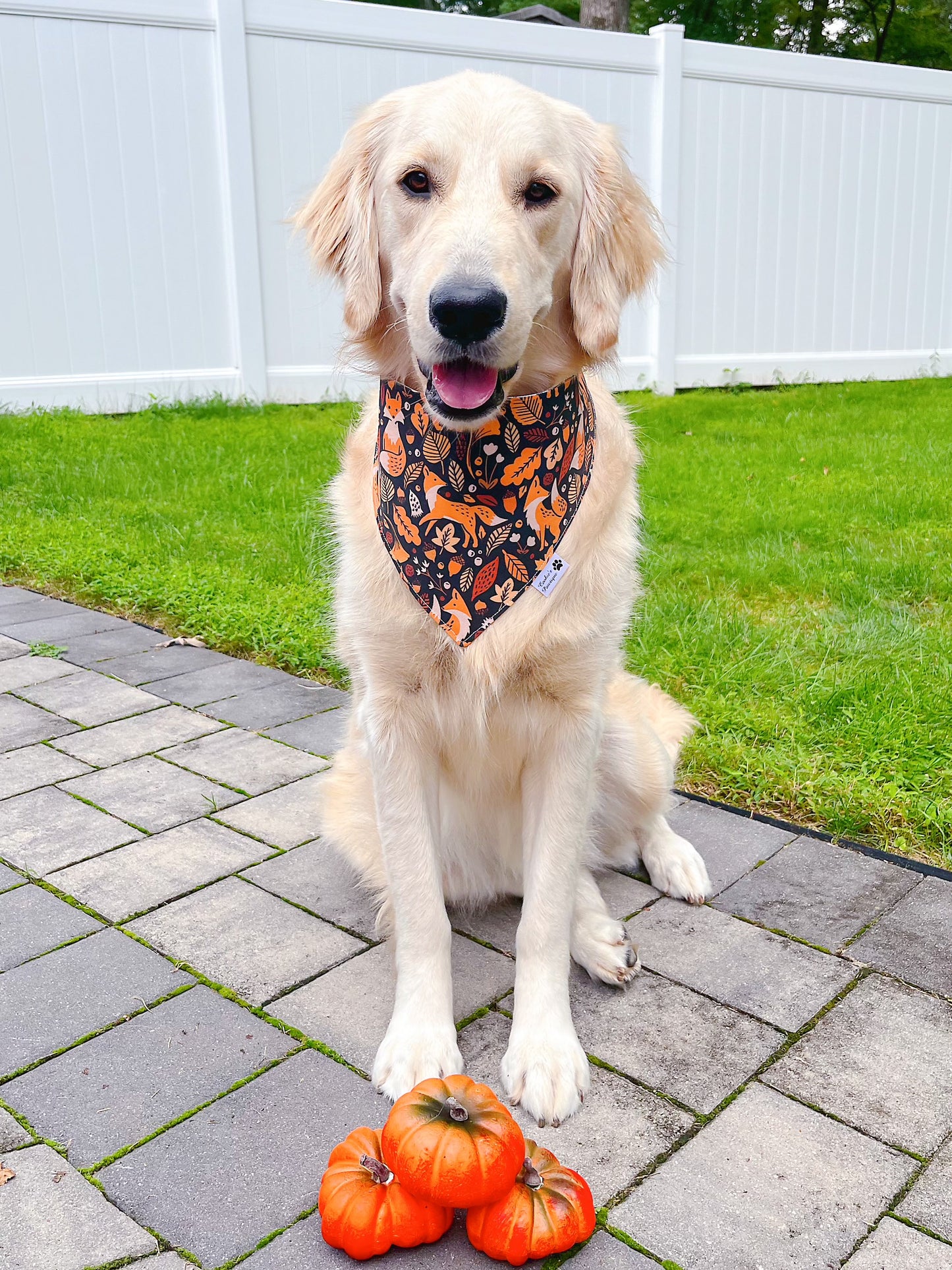 Fall Foxes And Friends Bandana