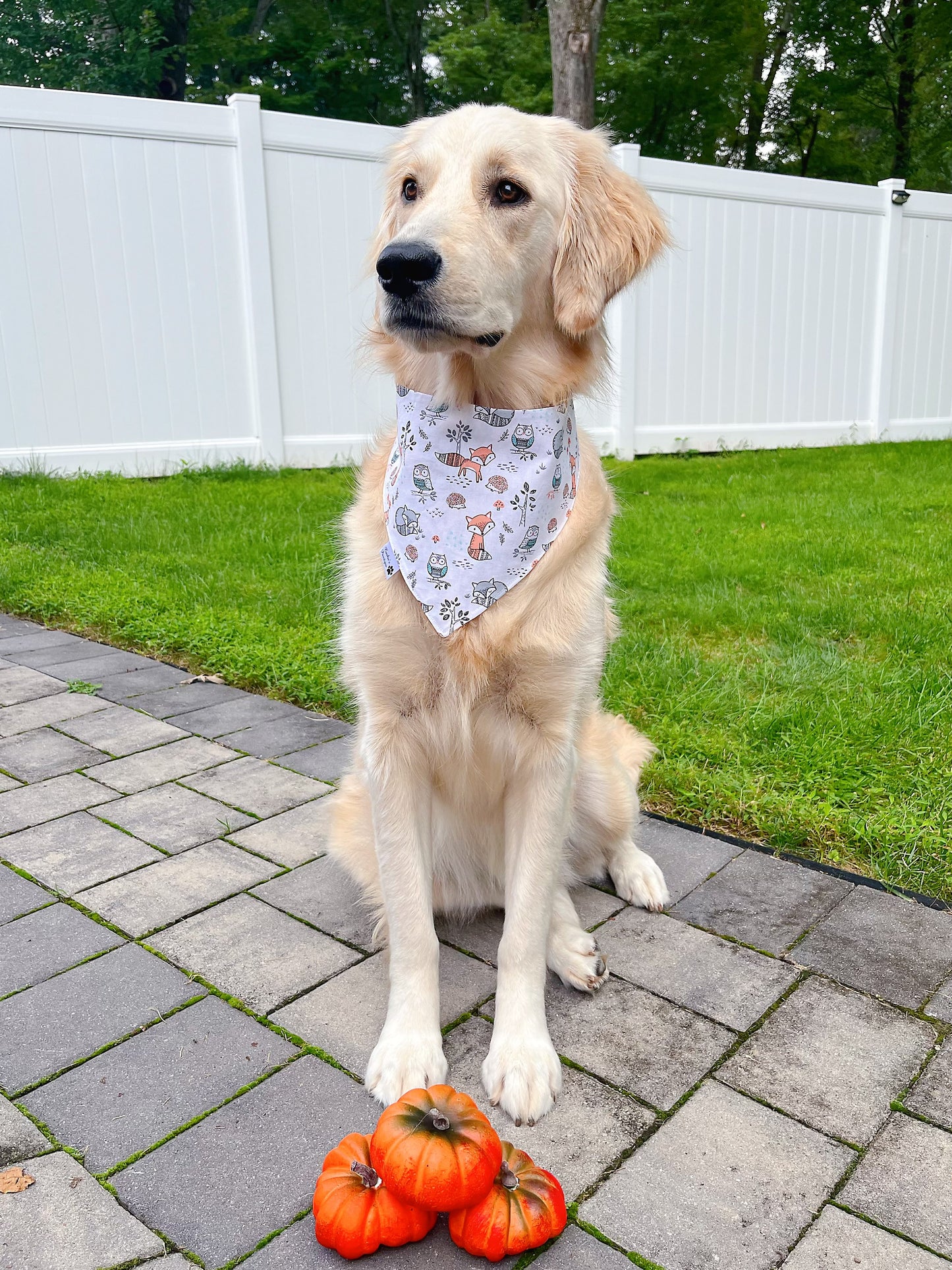Fall Foxes And Friends Bandana