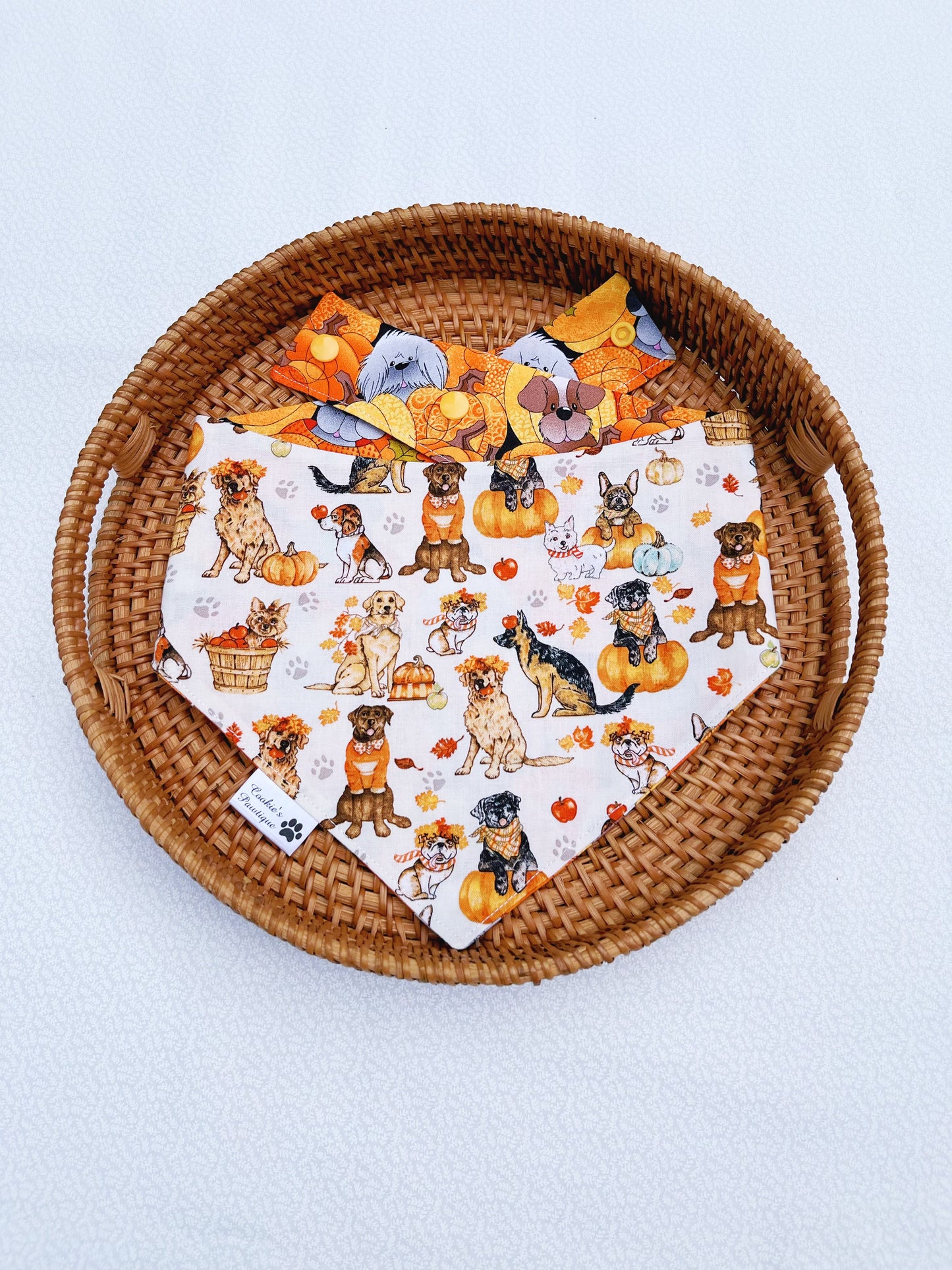 Fall Dog Friends Bandana