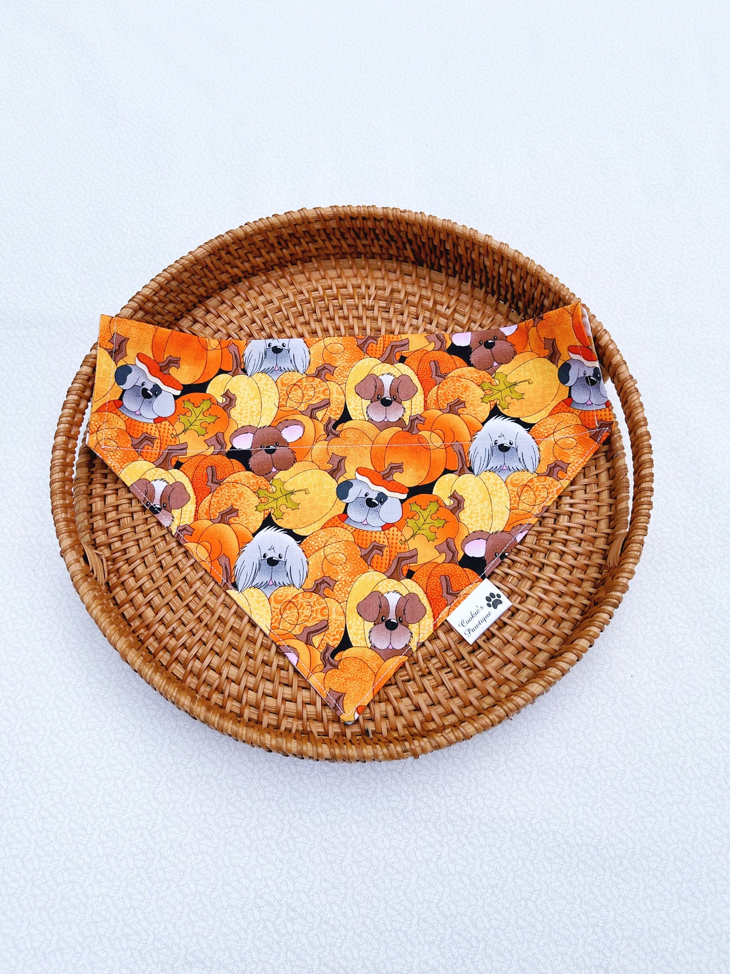 Fall Dog Friends Bandana
