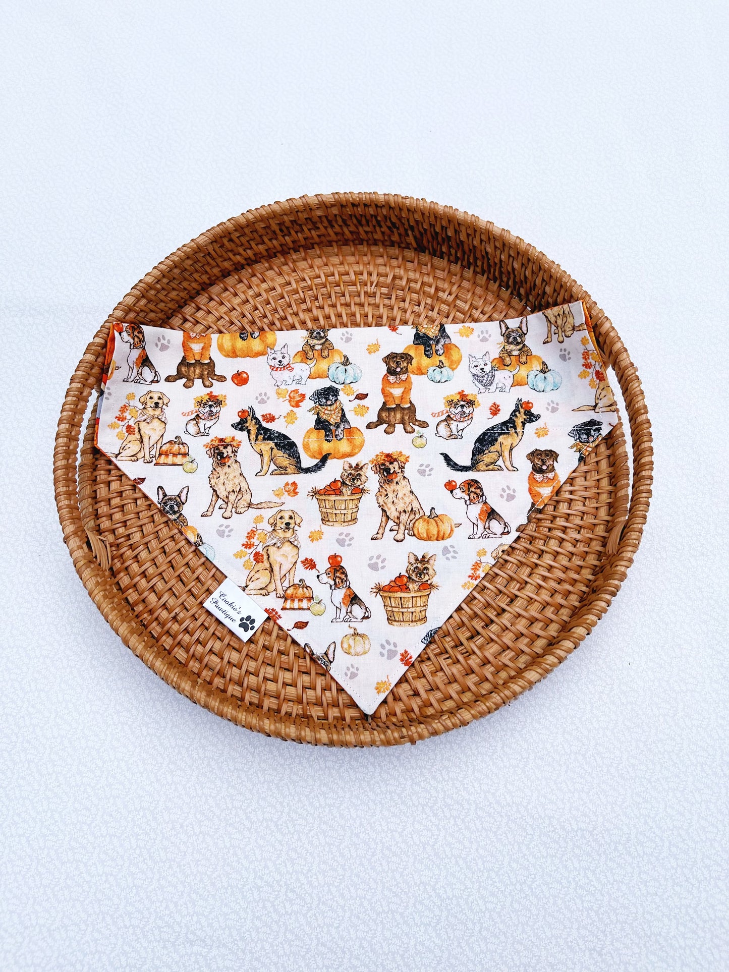 Fall Dog Friends Bandana