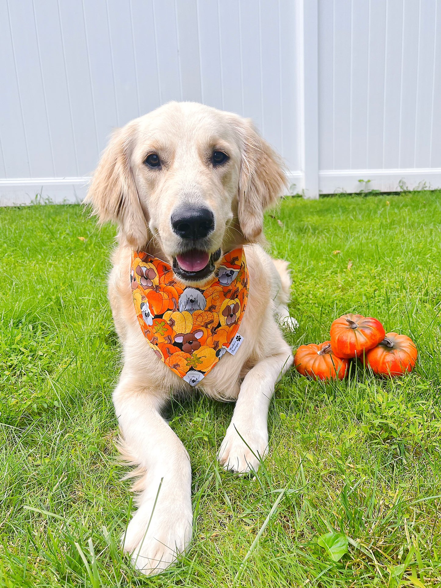 Fall Dog Friends Bandana
