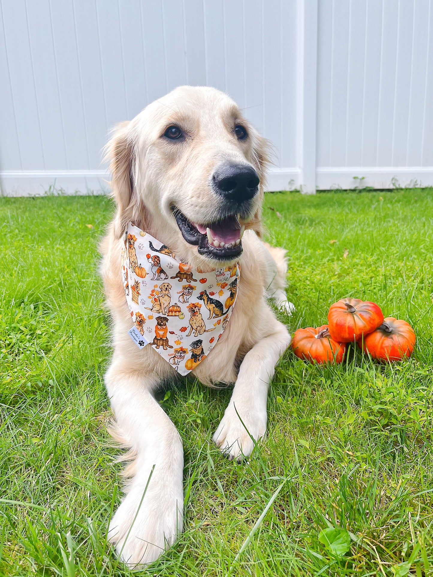 Fall Dog Friends Bandana