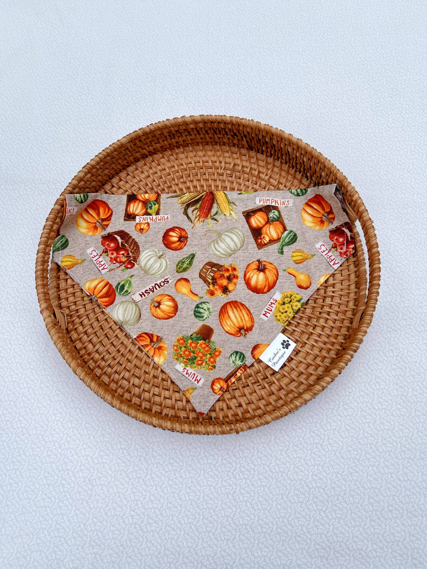 Fall Harvest Bandana