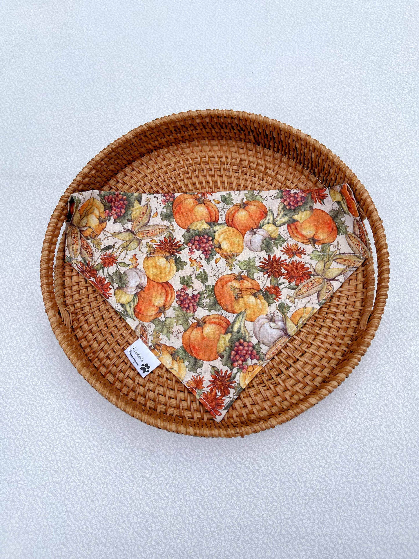Fall Harvest Bandana