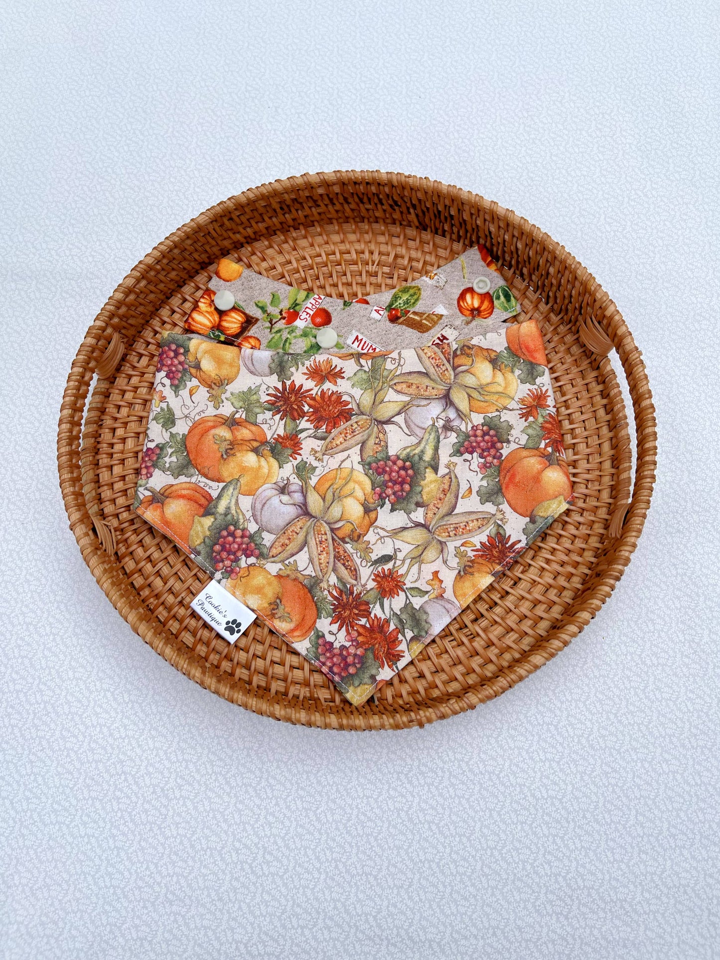 Fall Harvest Bandana