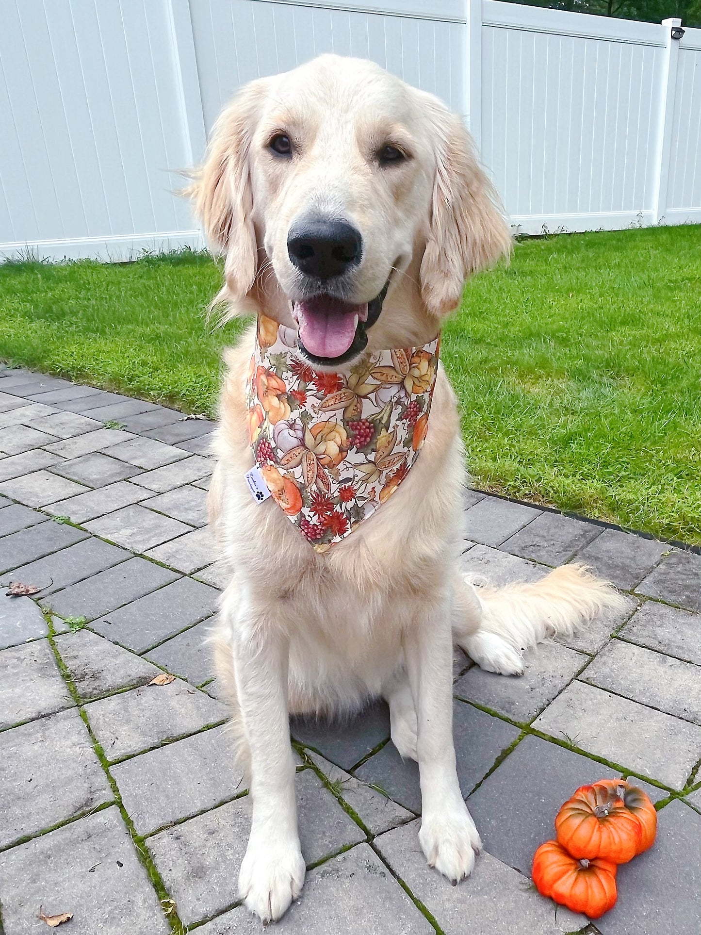 Fall Harvest Bandana