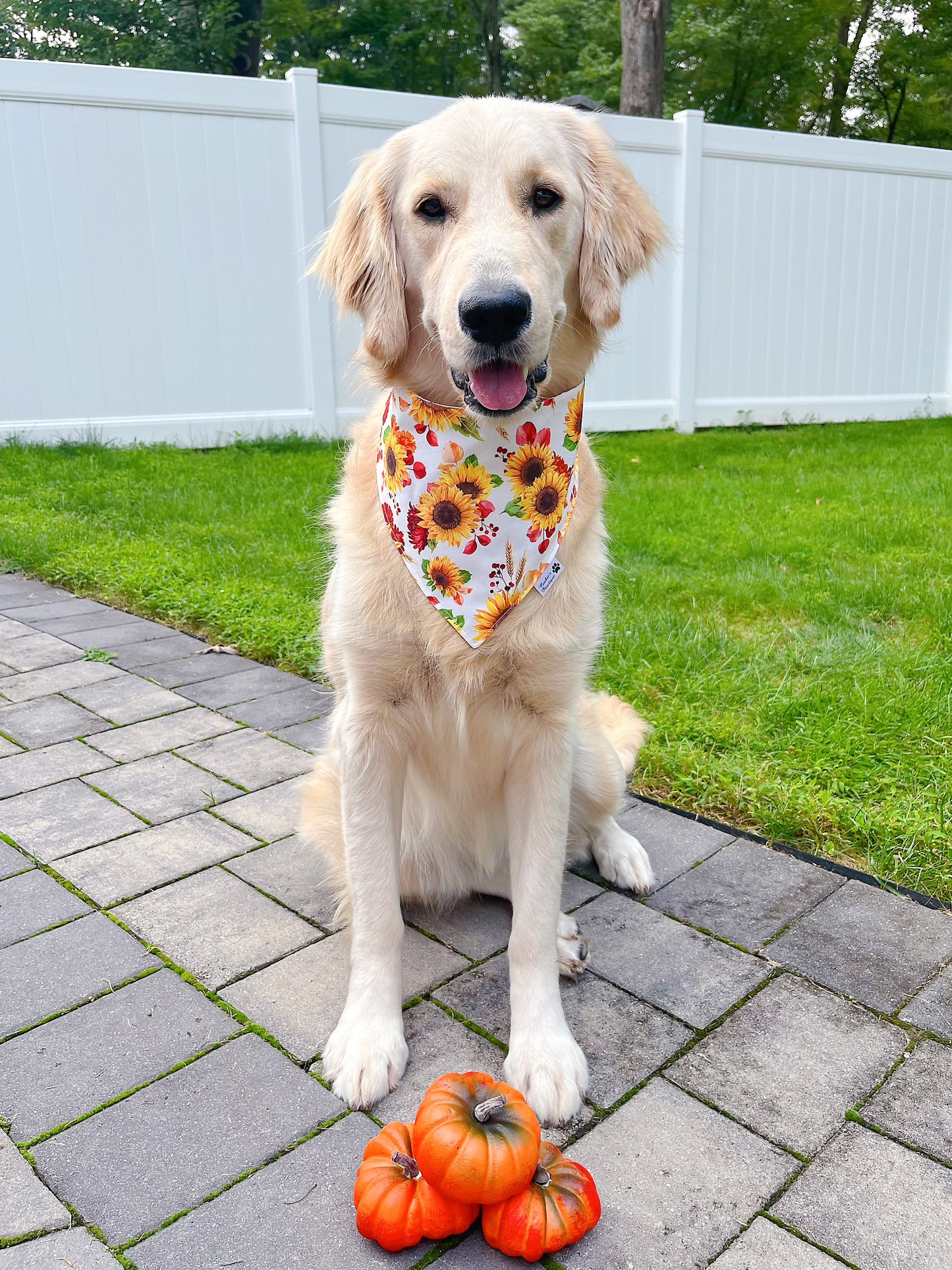 Sunflowers In Fall Bandana