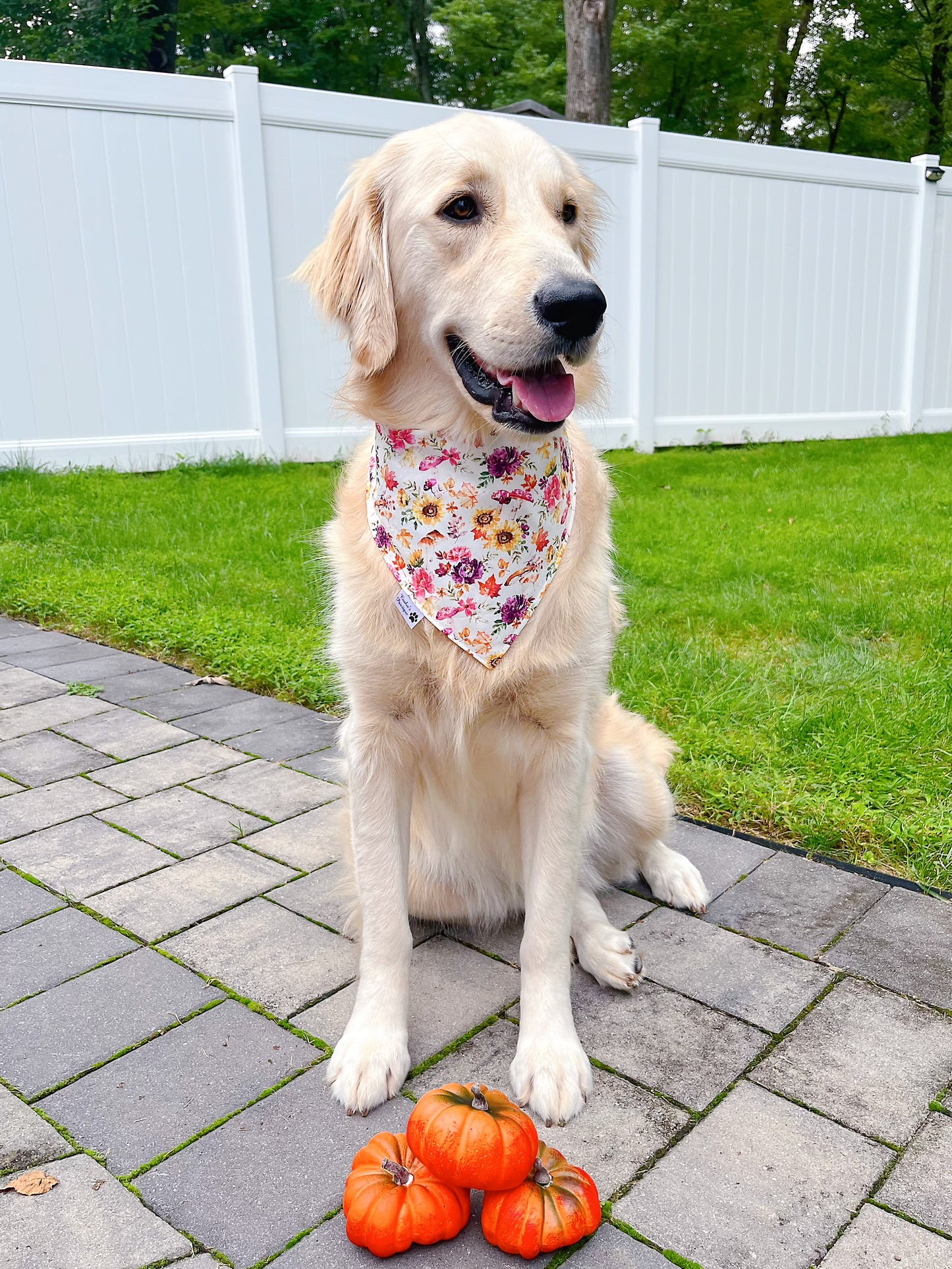 Sunflowers In Fall Bandana
