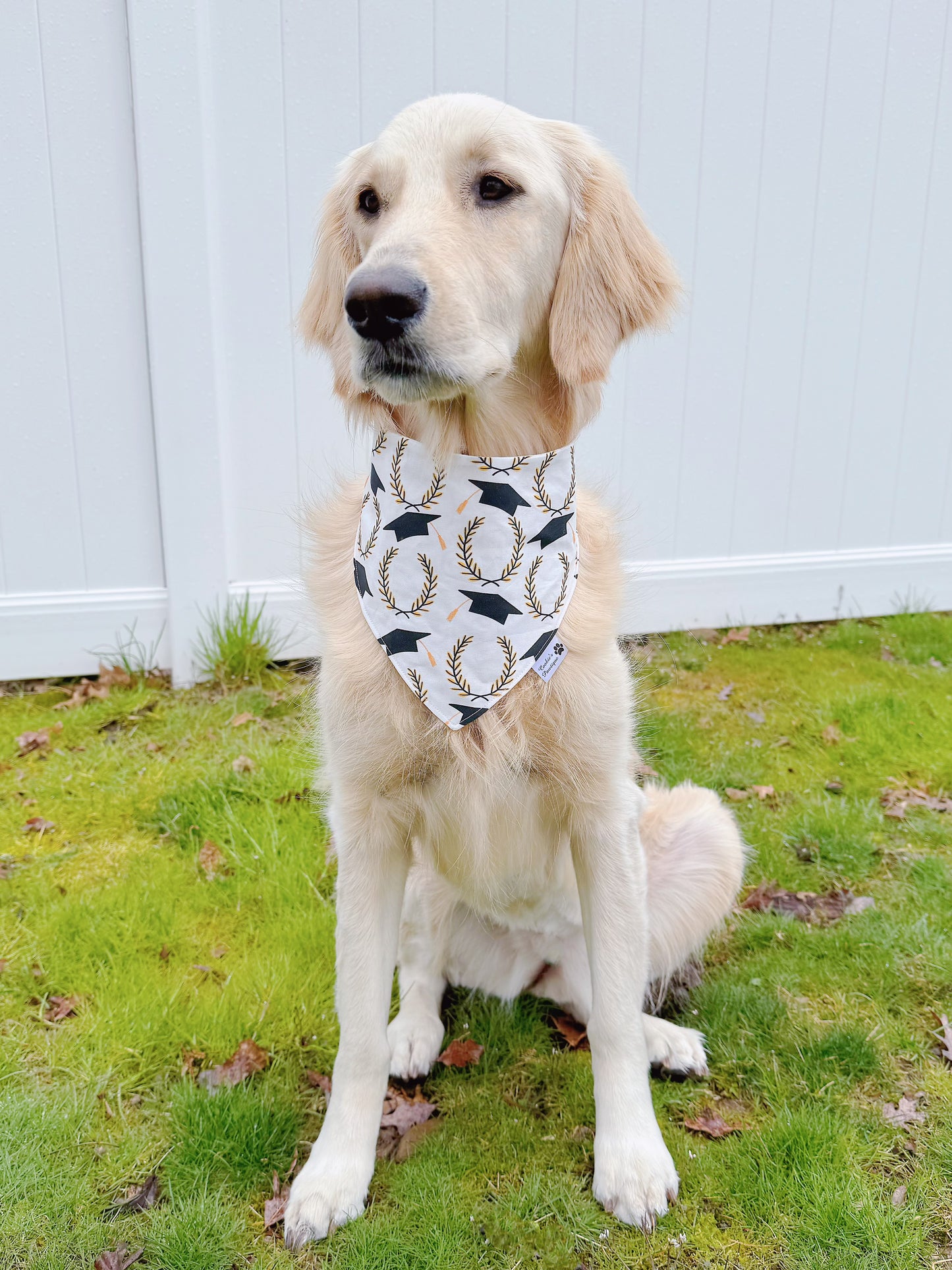 Graduation Celebration Bandana