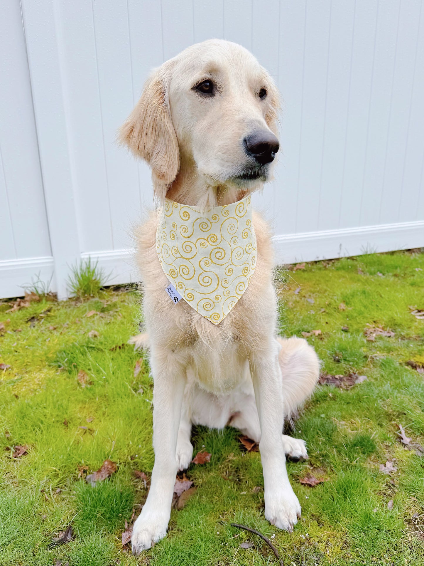 Graduation Celebration Bandana