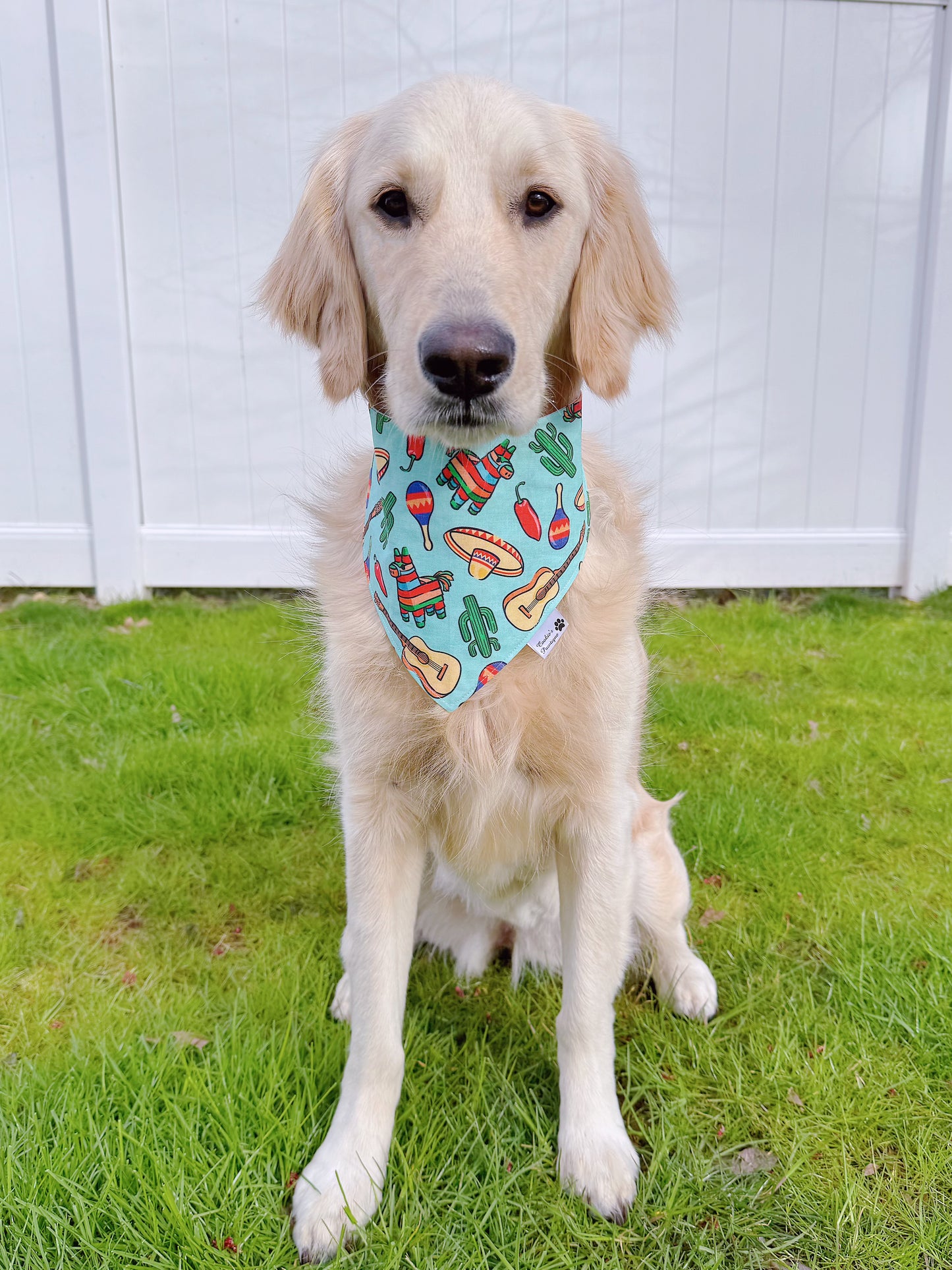 Fiesta Time Bandana - Teal