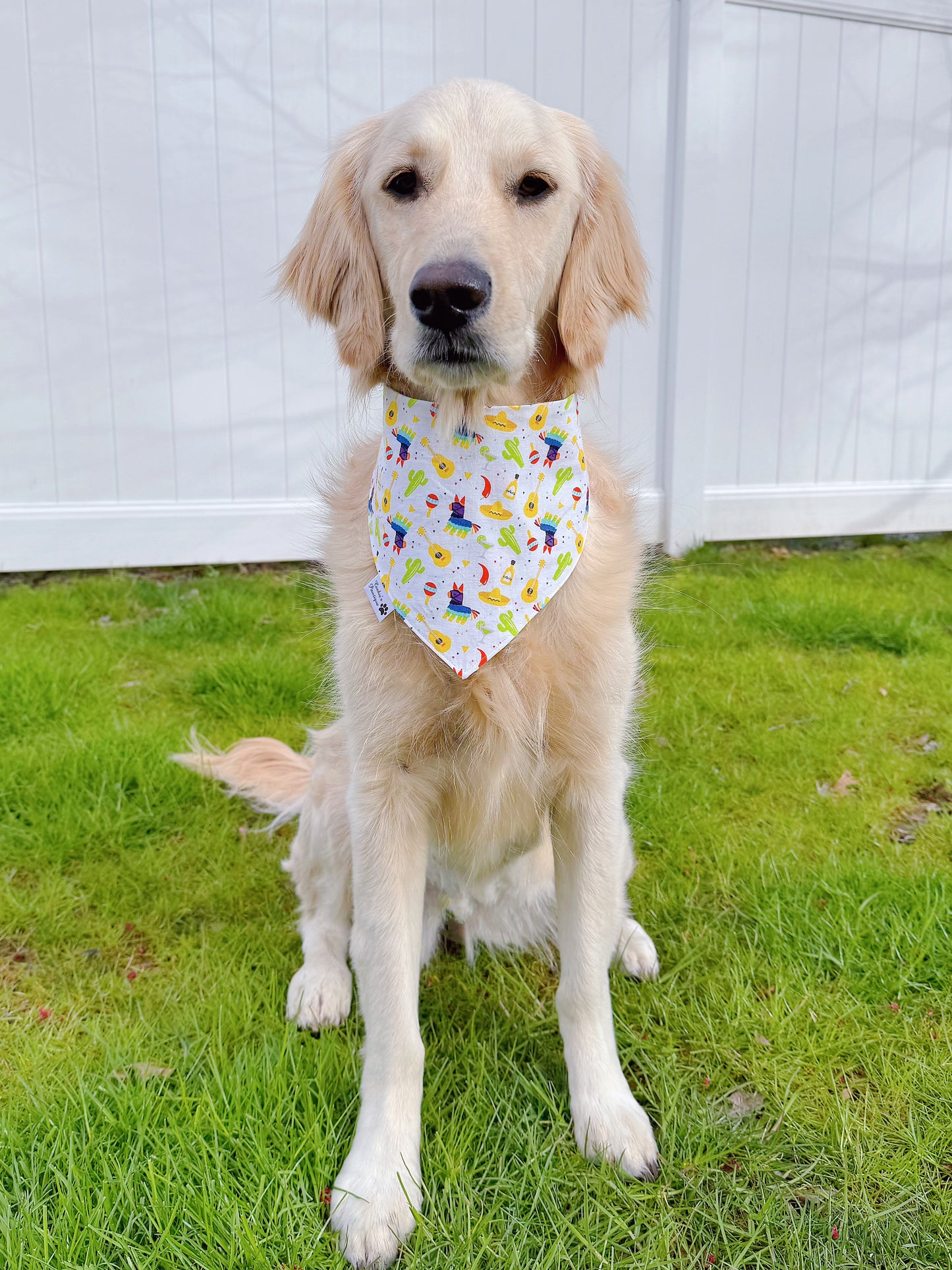 Fiesta Time Bandana - Teal