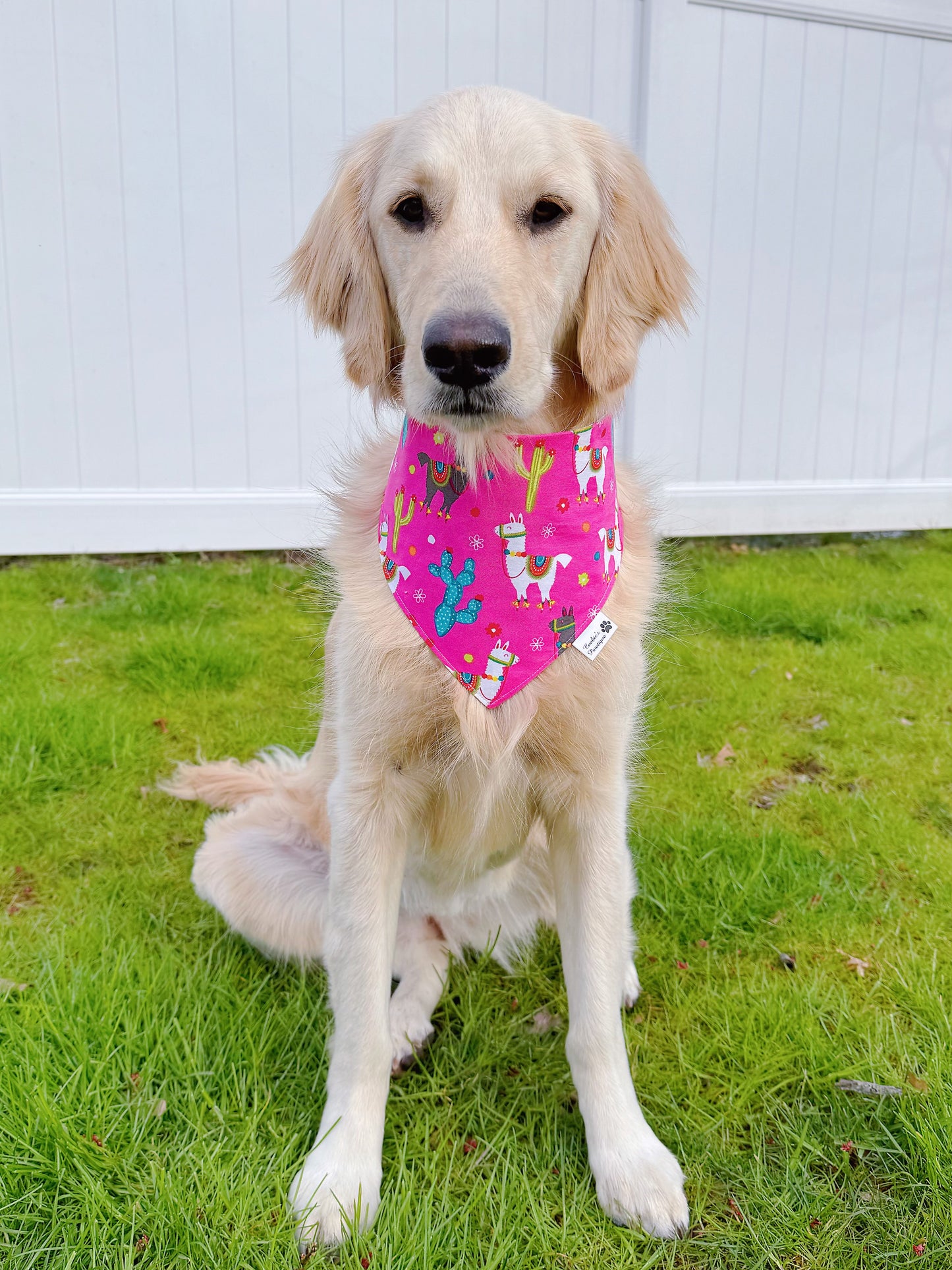 Fiesta Llama And Cacti Bandana