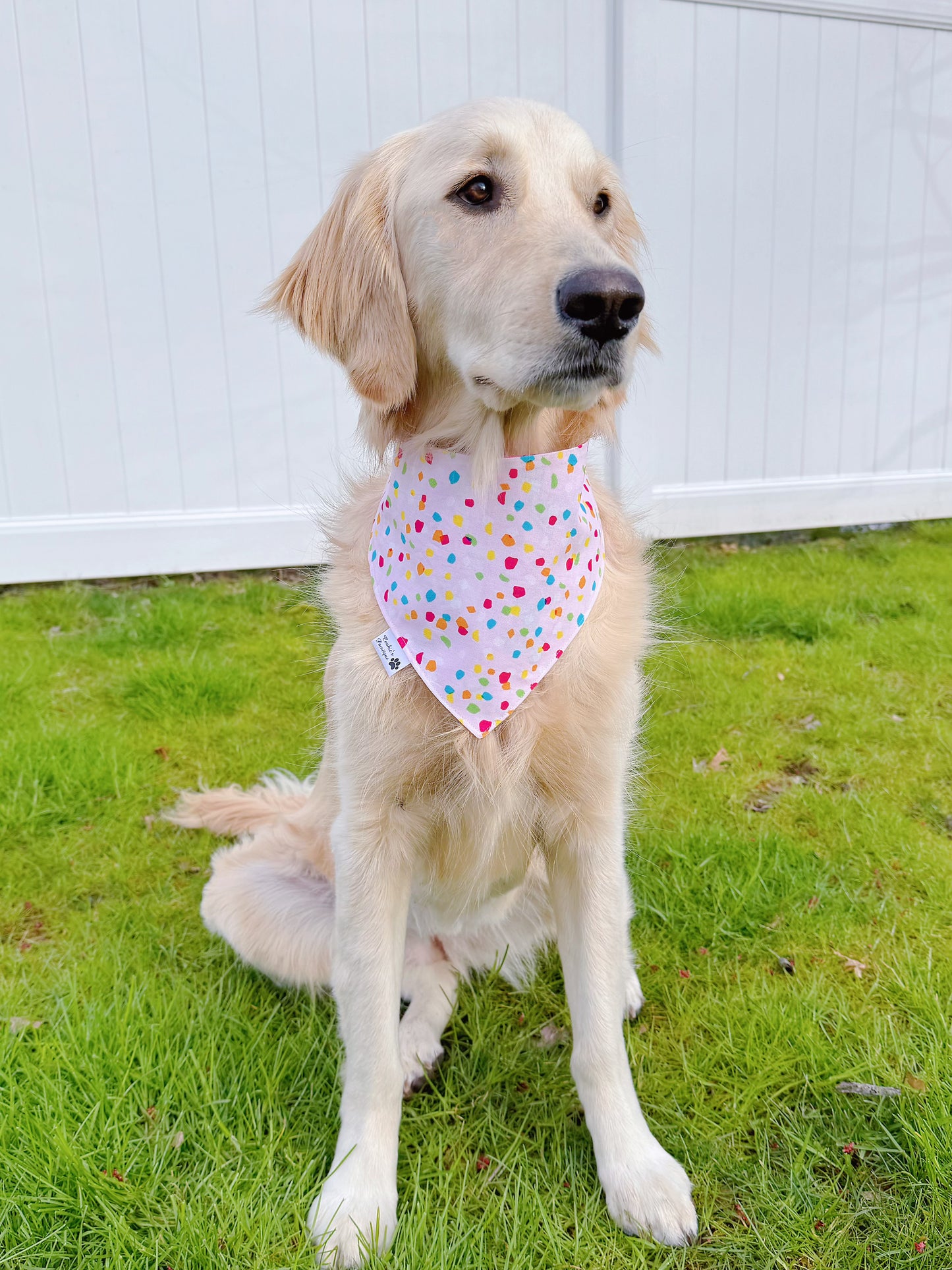 Fiesta Llama And Cacti Bandana