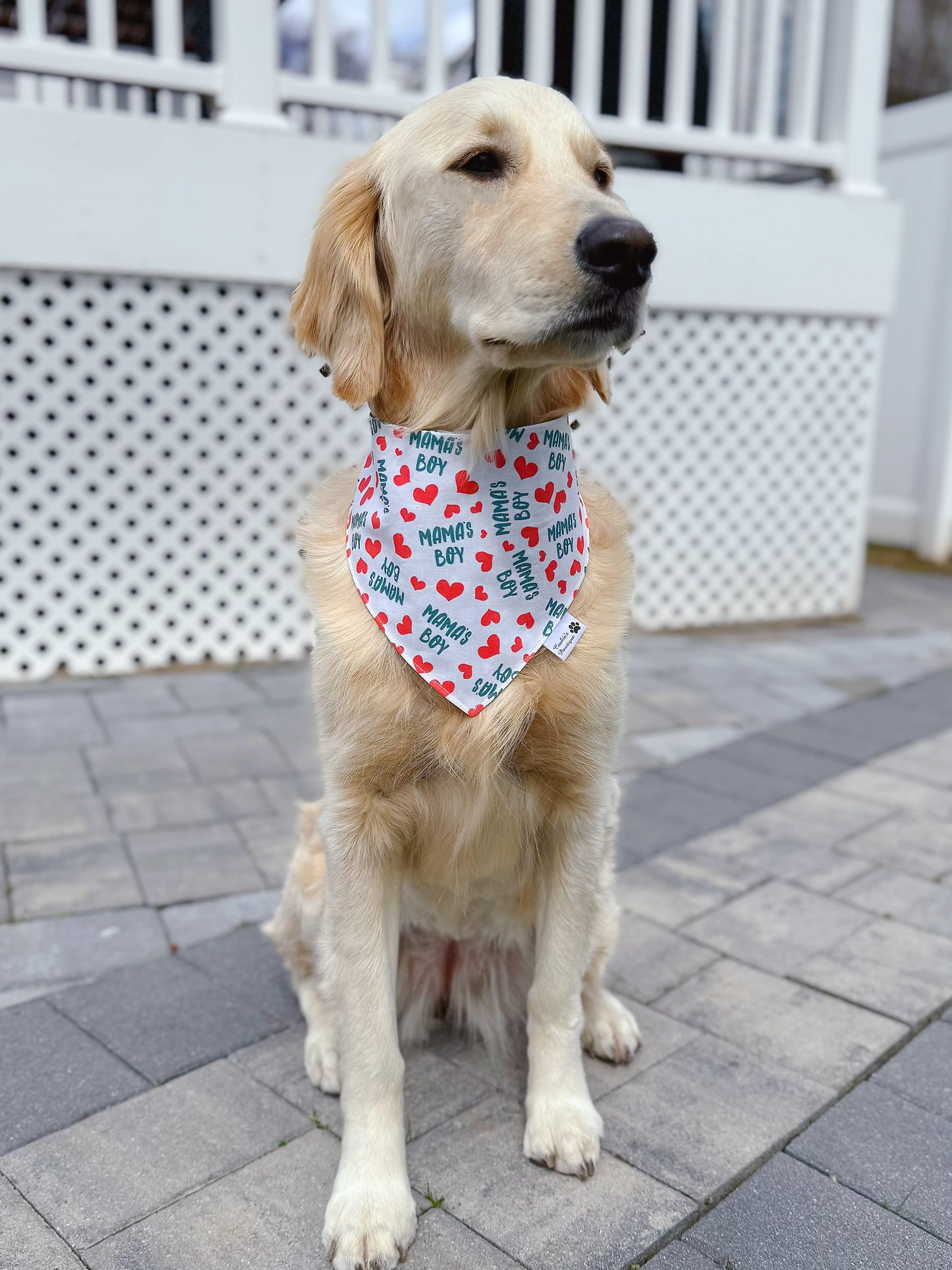 Mama’s Boy Bandana