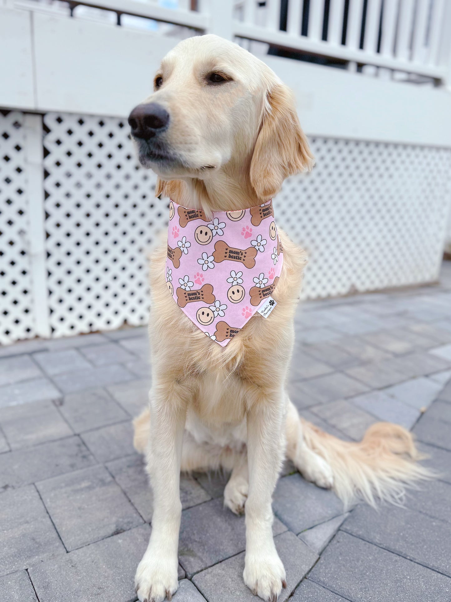 Mom's Bestie Bandana - Coral