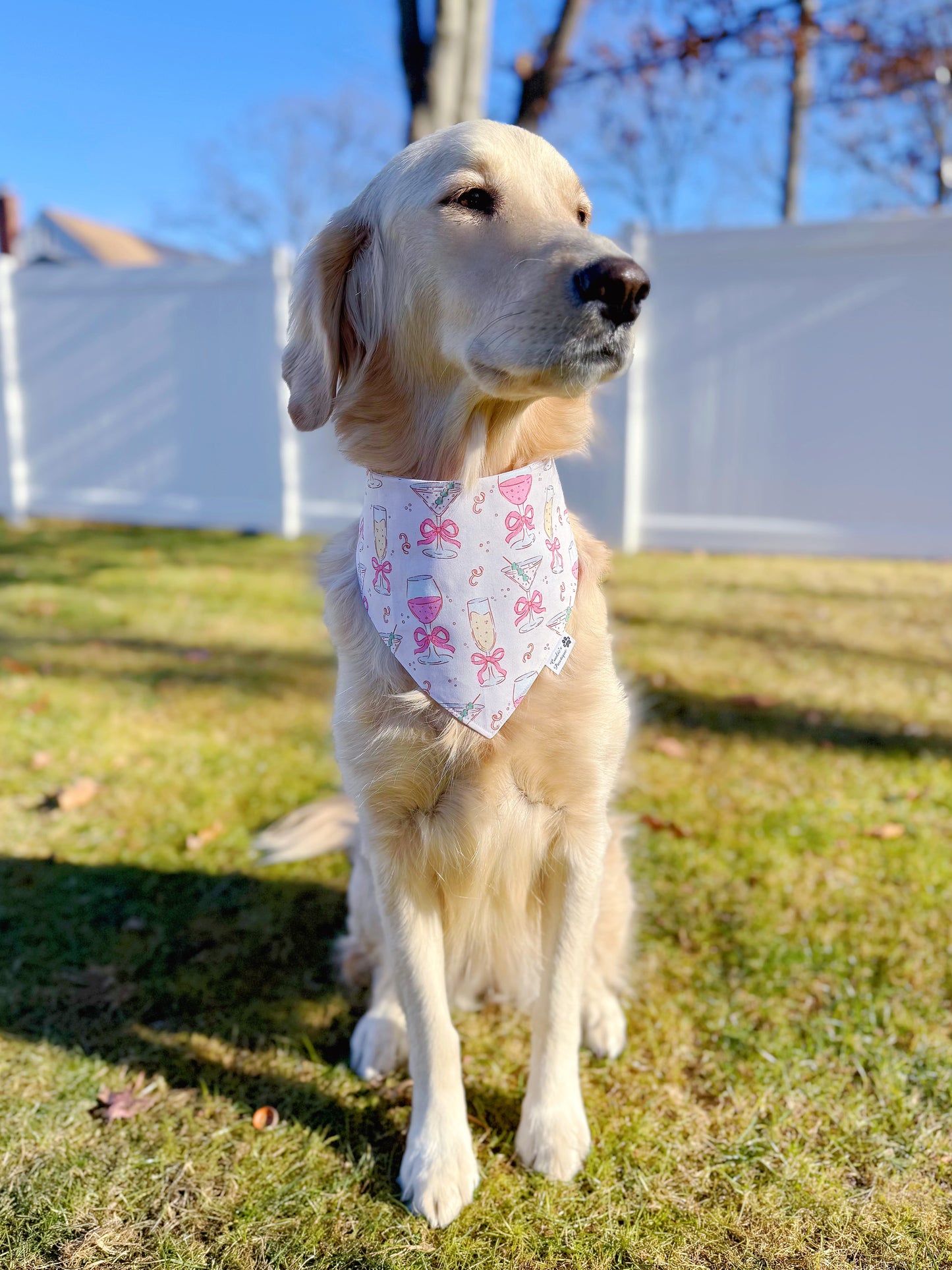 Cocktails and Bows Bandana