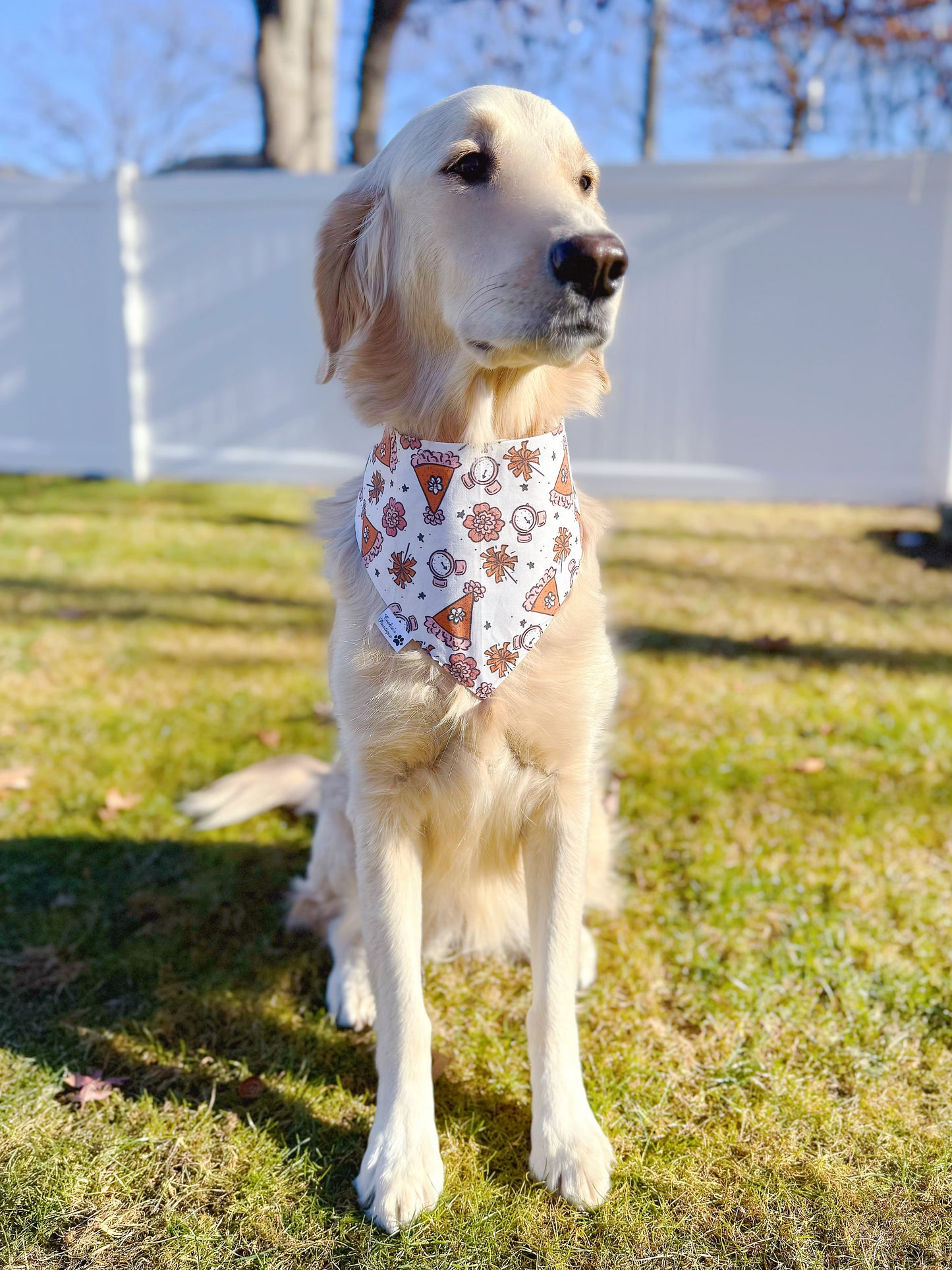 Happy New Year Bandana