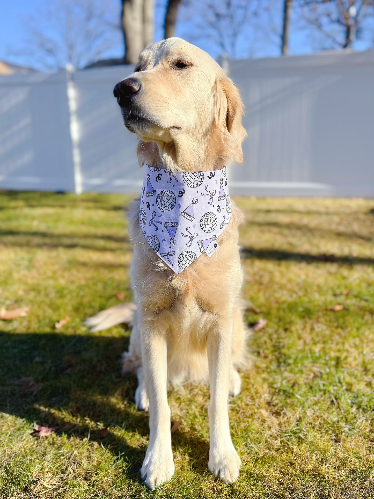 Disco New Year Bandana