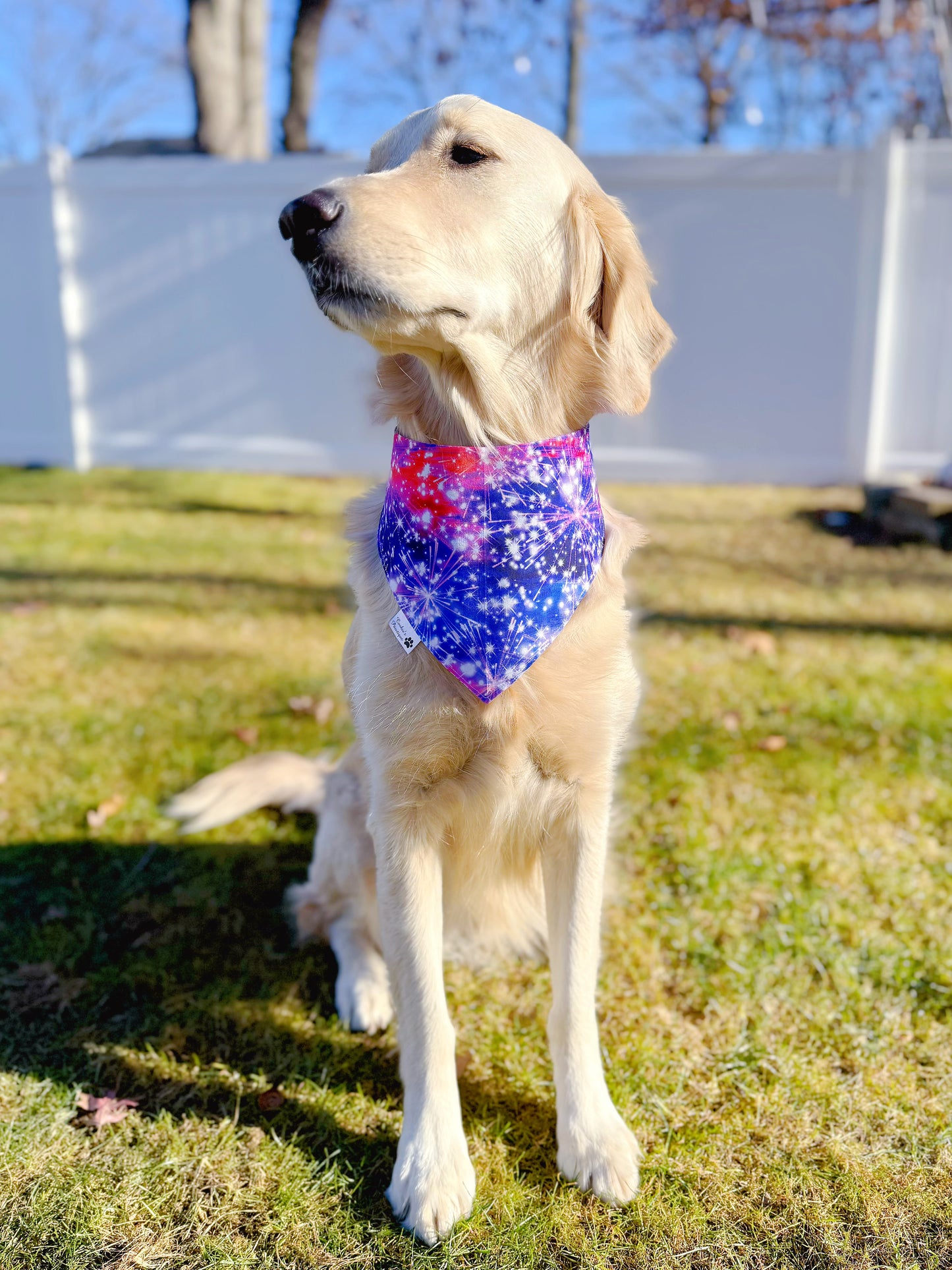 Disco New Year Bandana