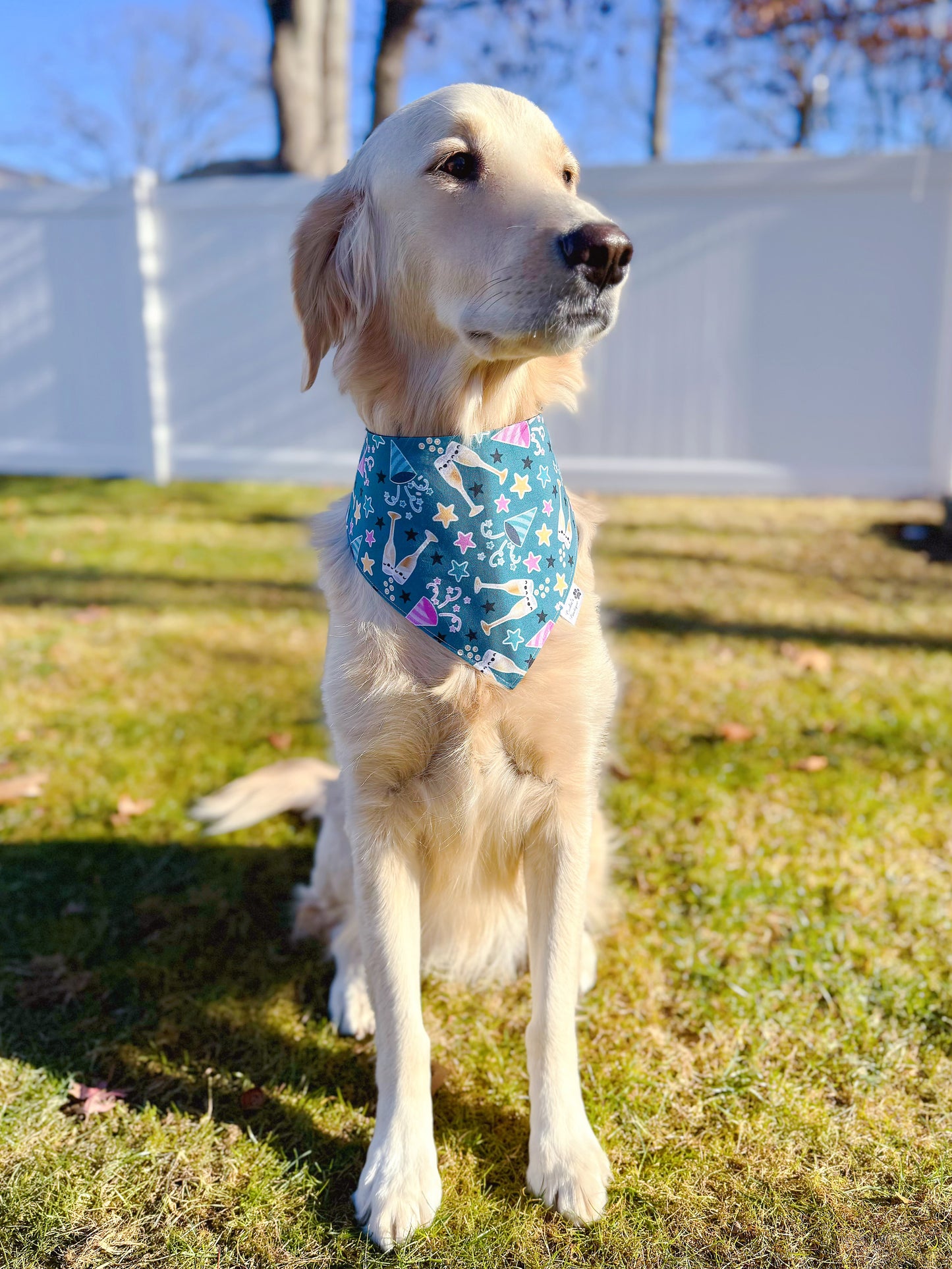 Happy Celebration Bandana