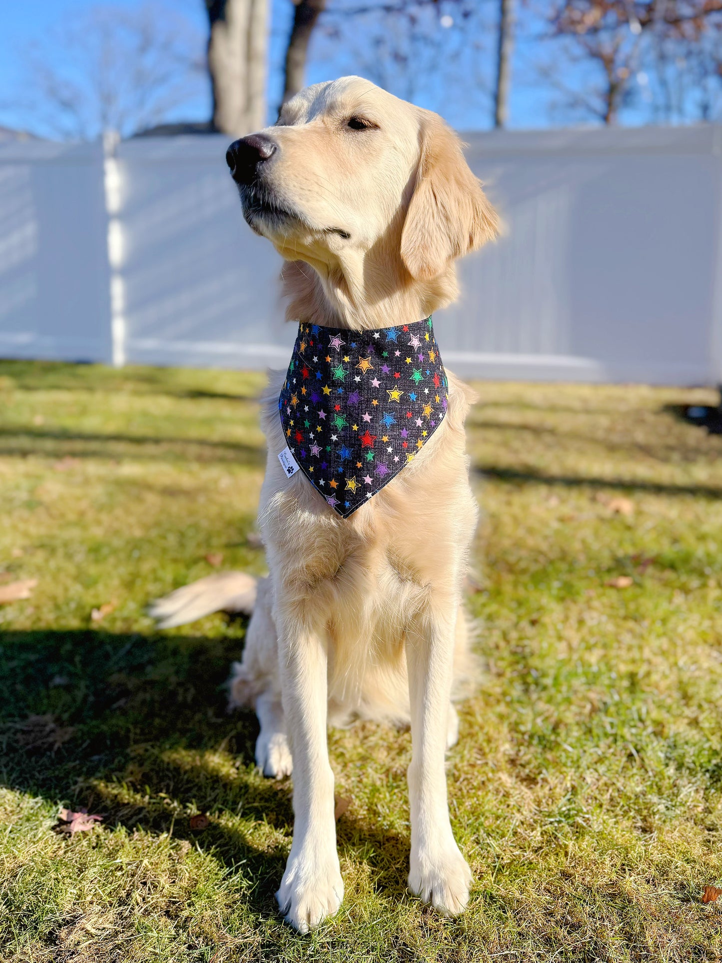 Happy Celebration Bandana