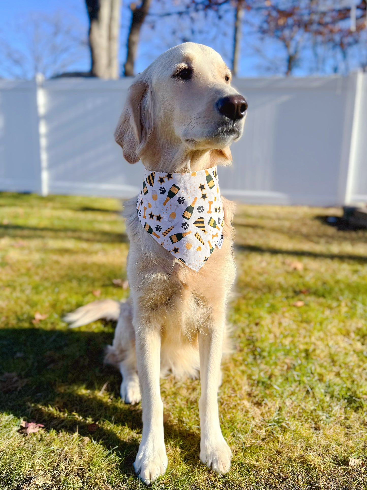 Doggy New Year Bandana