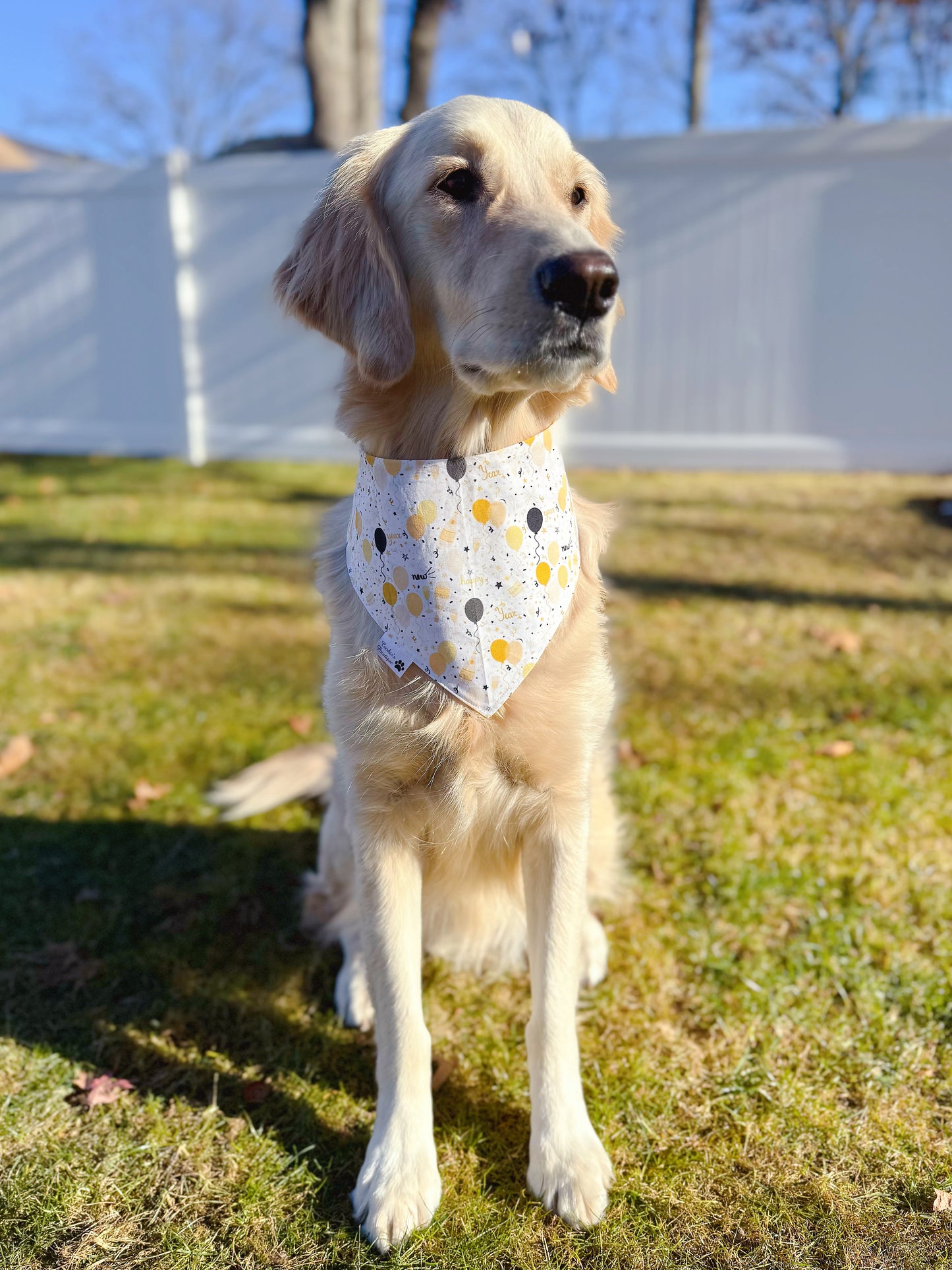 Doggy New Year Bandana