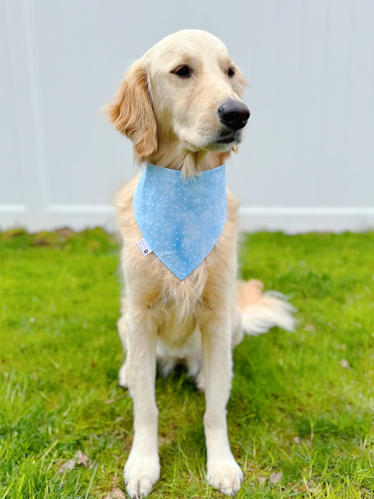 Lake Life Bandana