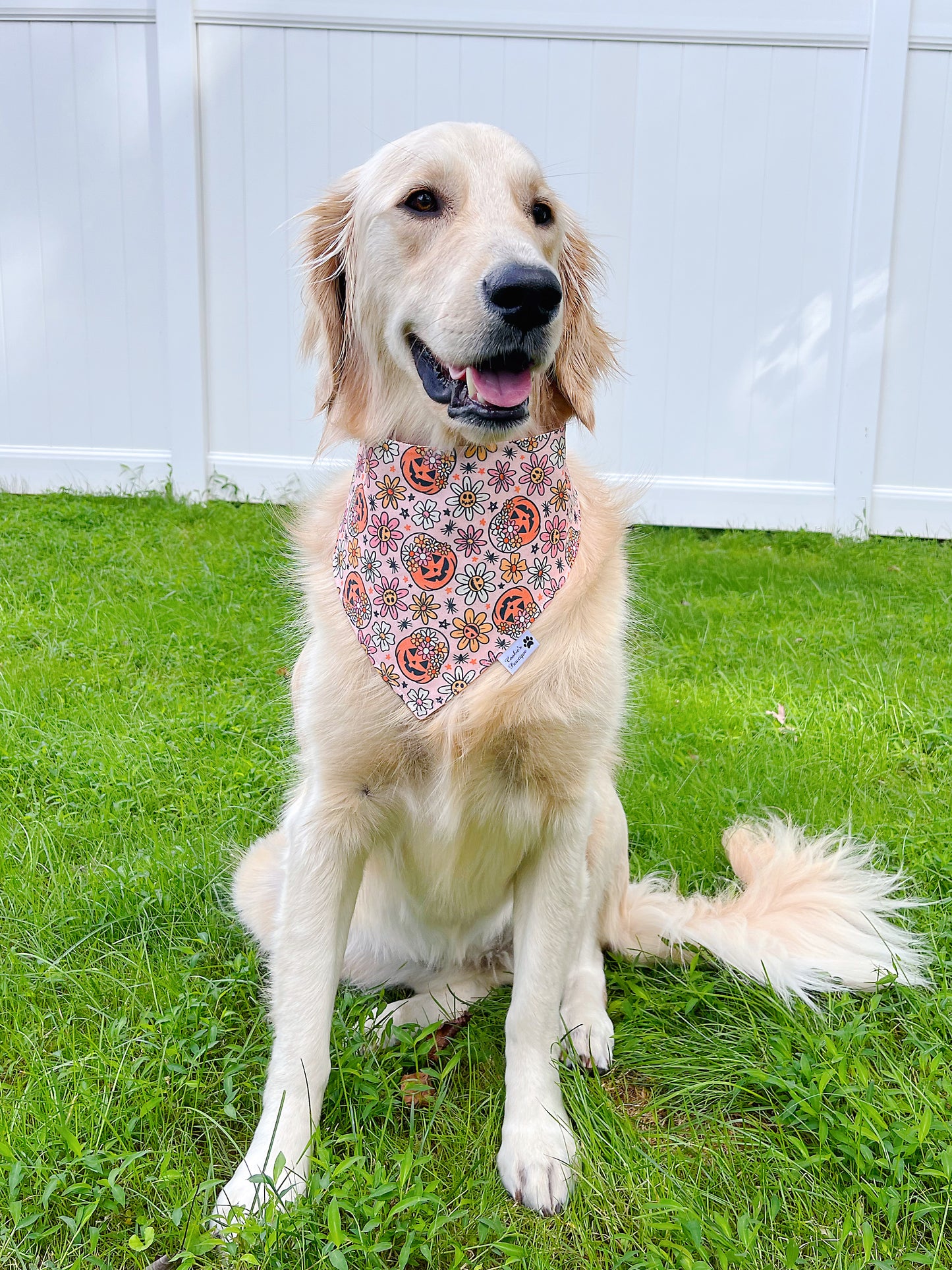 Halloween Hippie Pumpkins Garden Bandana