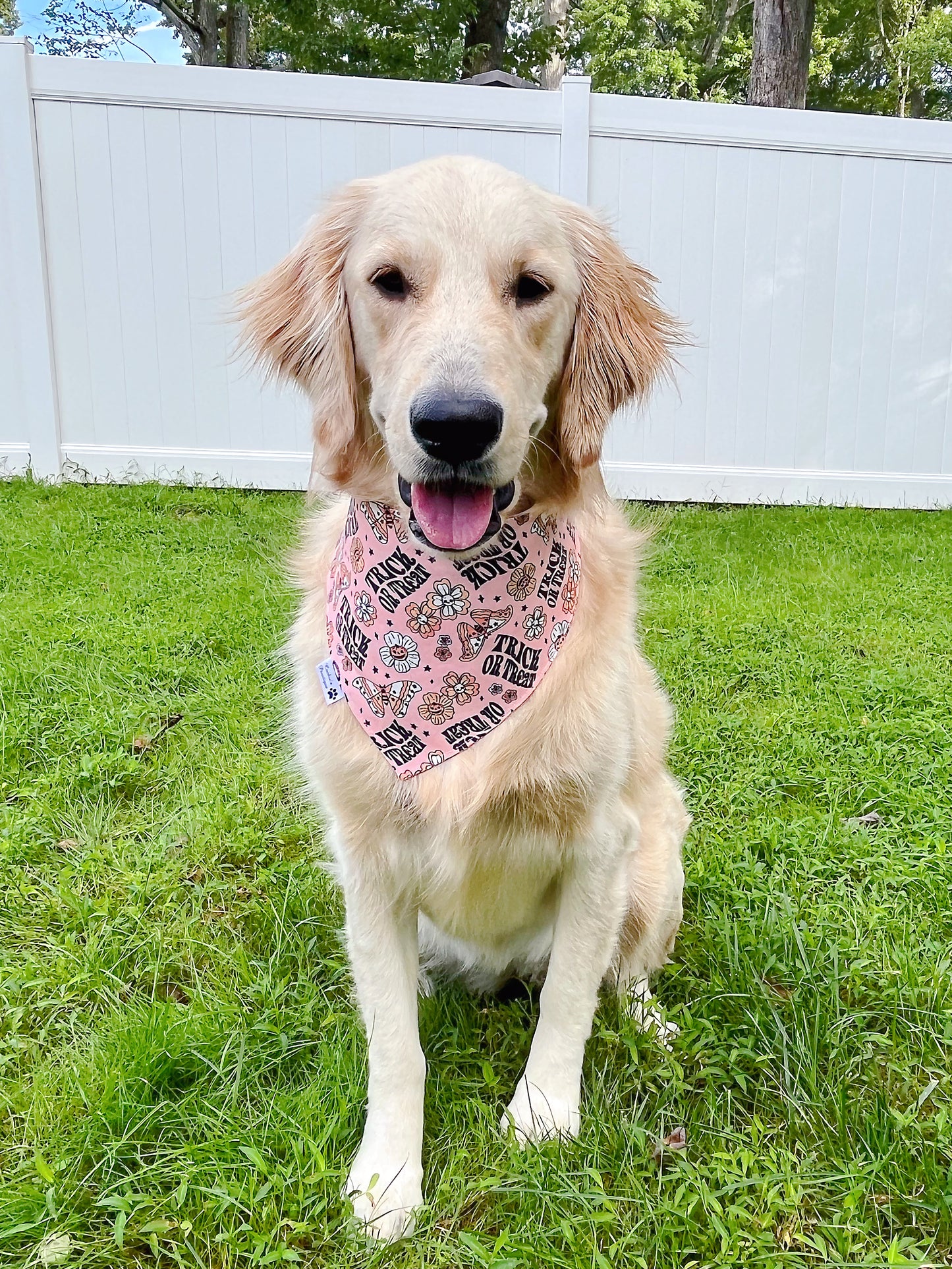 Halloween Hippie Pumpkins Garden Bandana