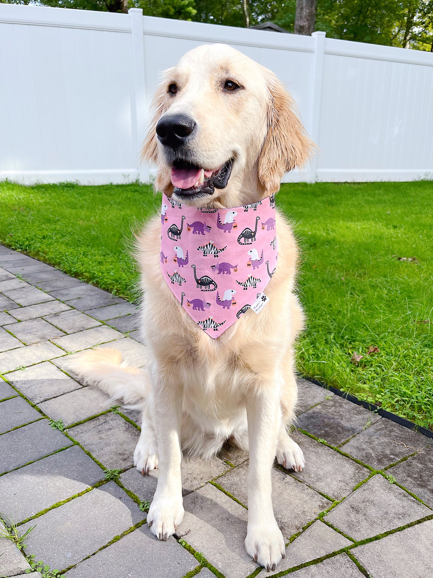 Sweet Halloween Dinos Bandana