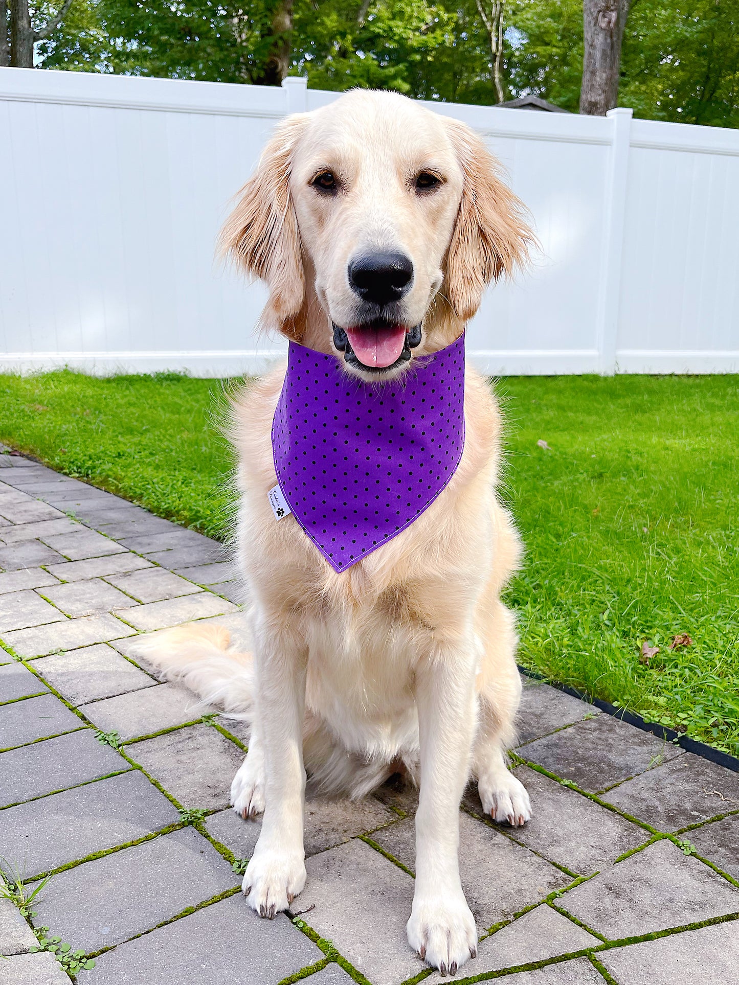 Sweet Halloween Dinos Bandana